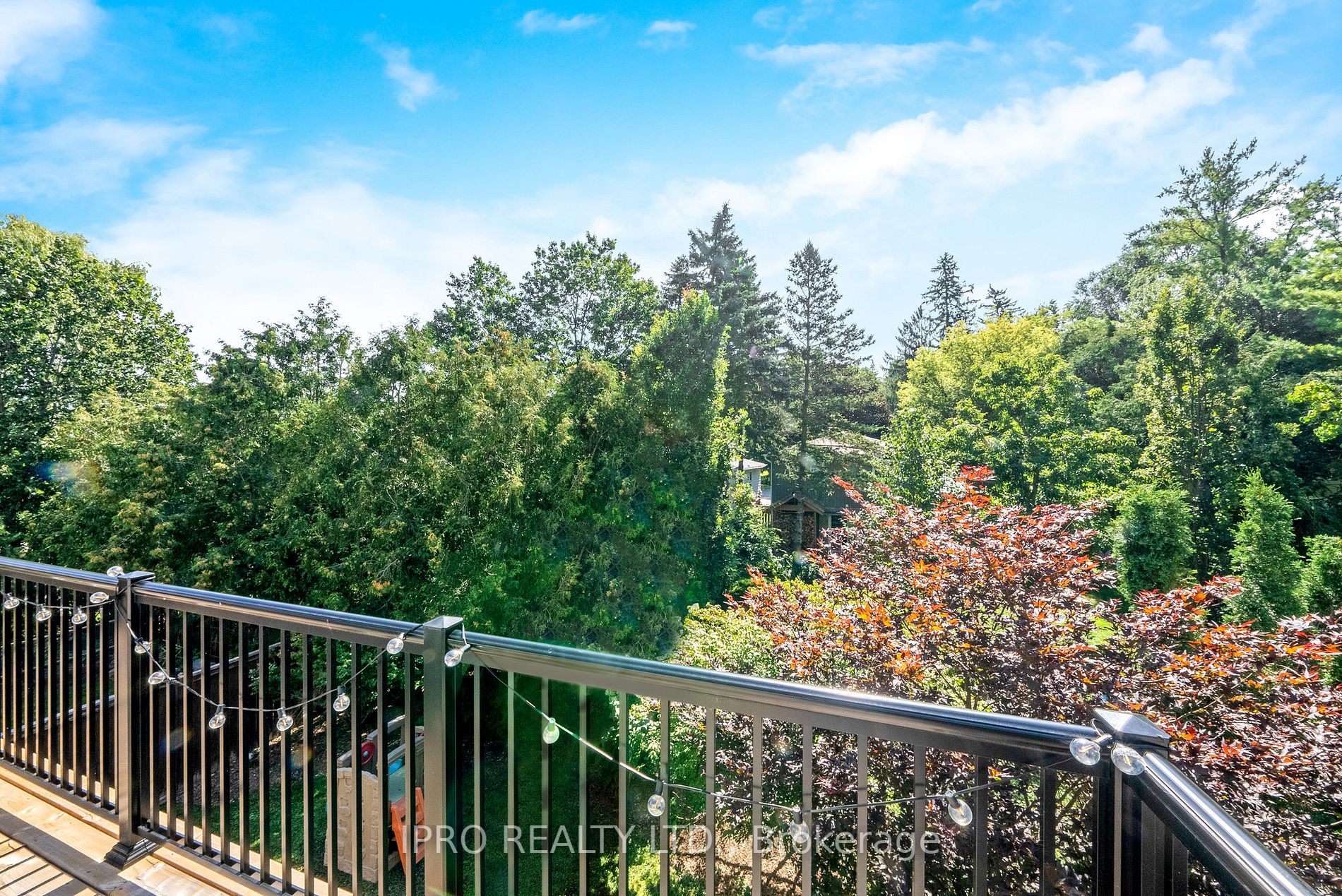 31 Costigan Court