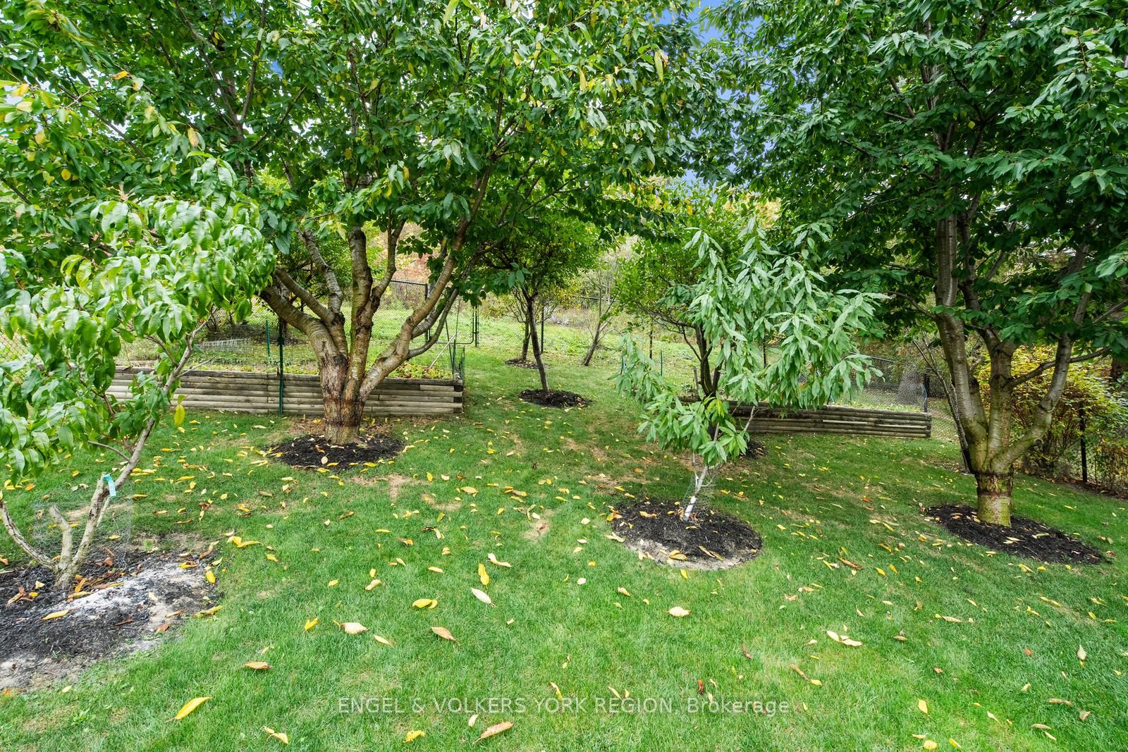 34 Sunkist Valley Road