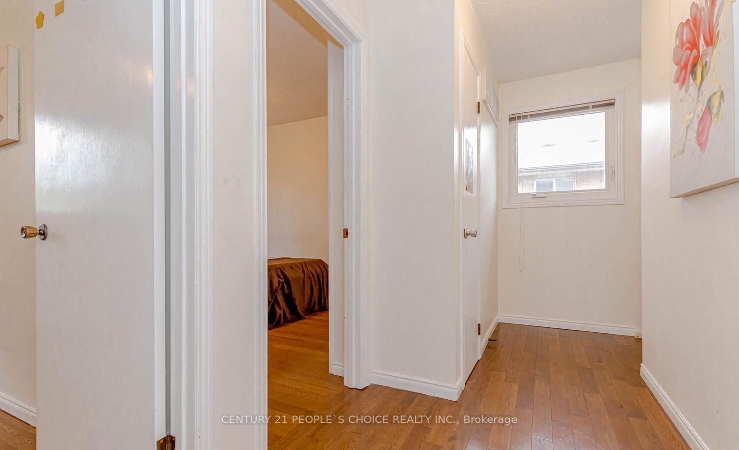 6 Peggy Crt