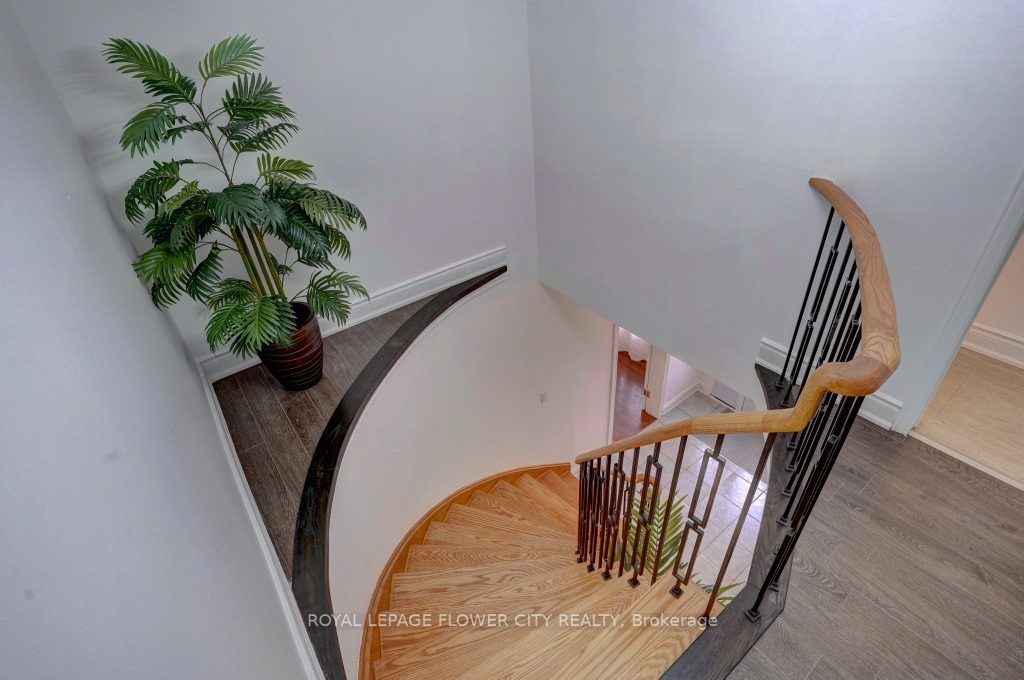 34 Bristol Ave S