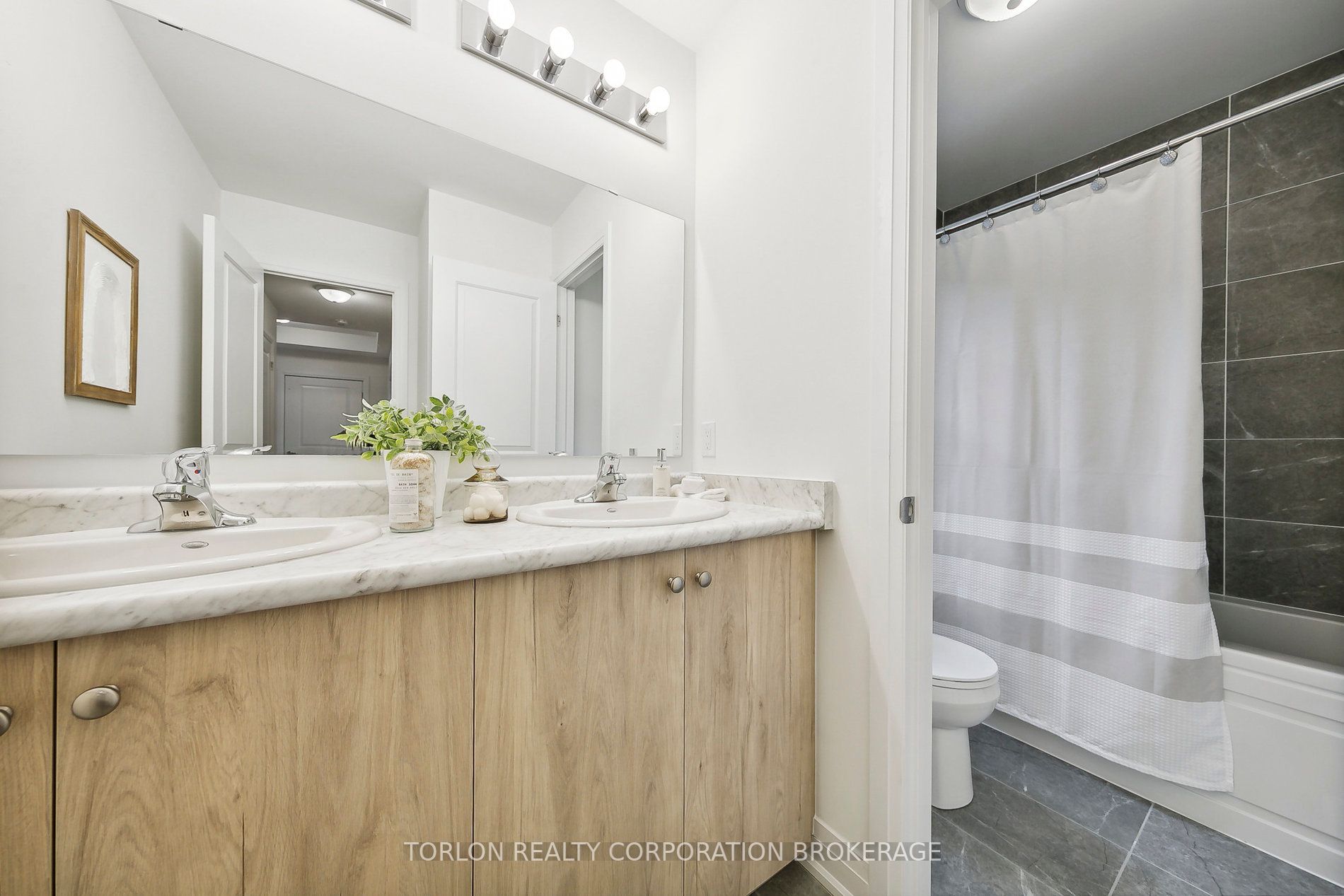 2159 Royal Gala Circ