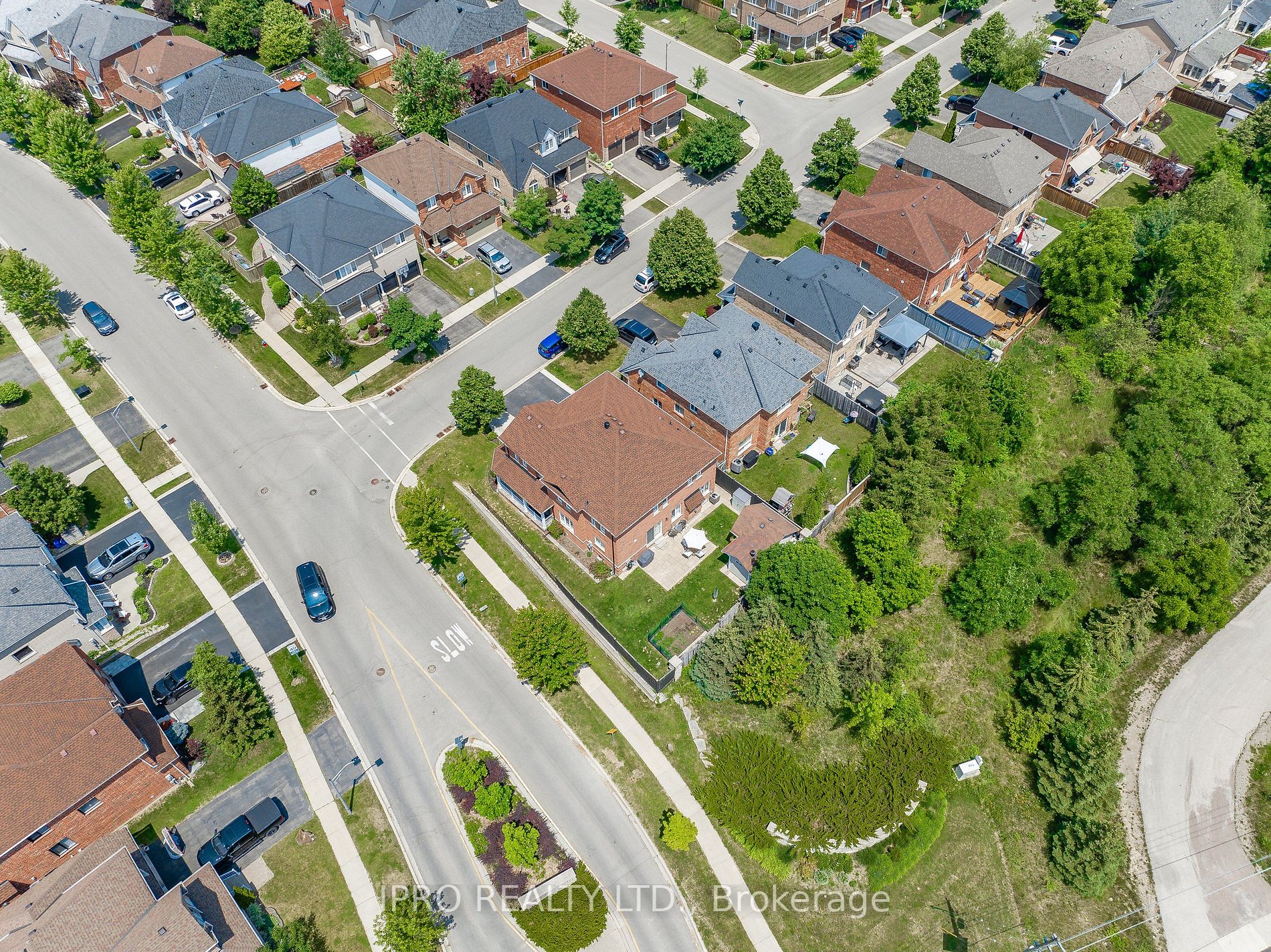 1 Belmont Blvd