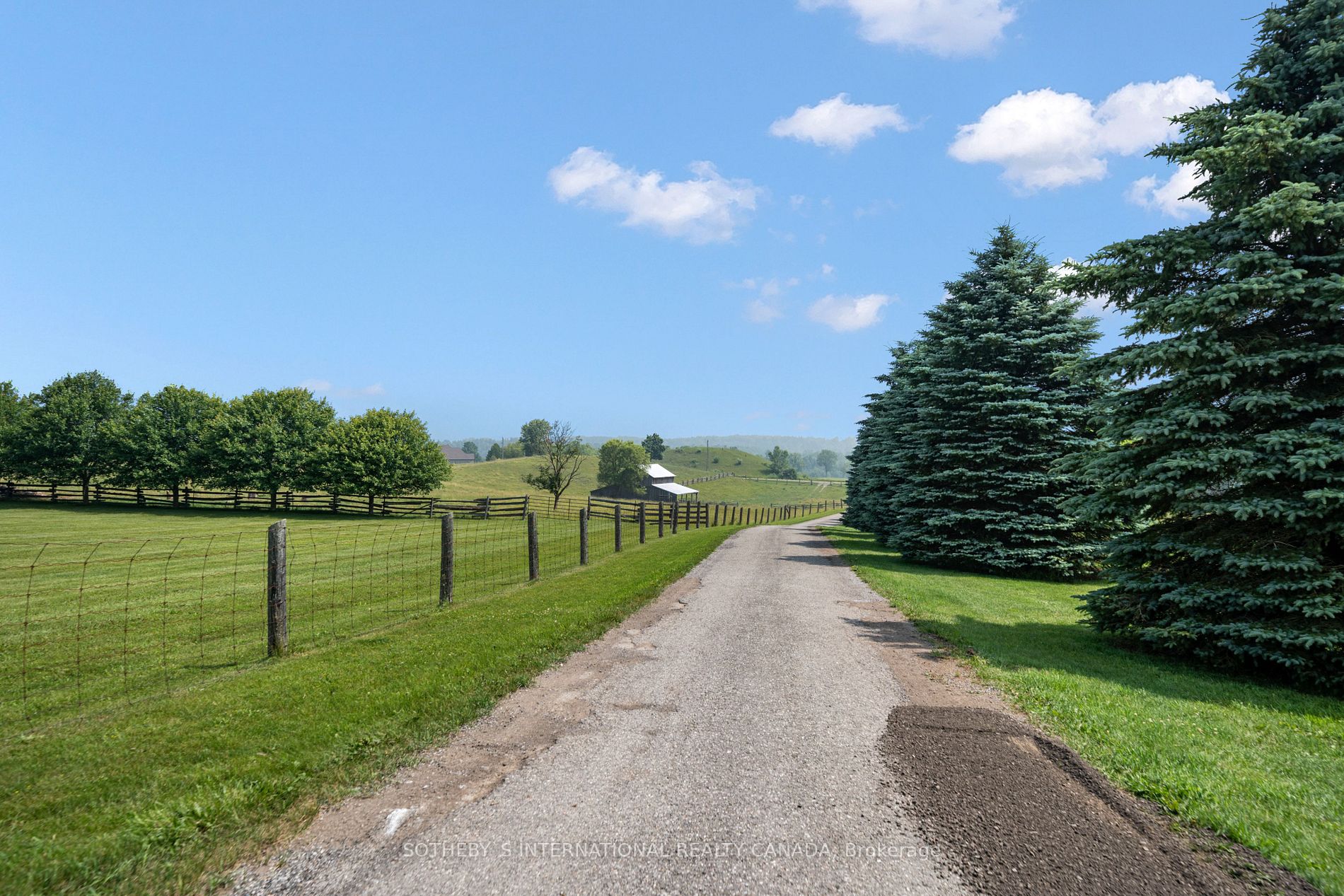 18250 Duffy's Lane