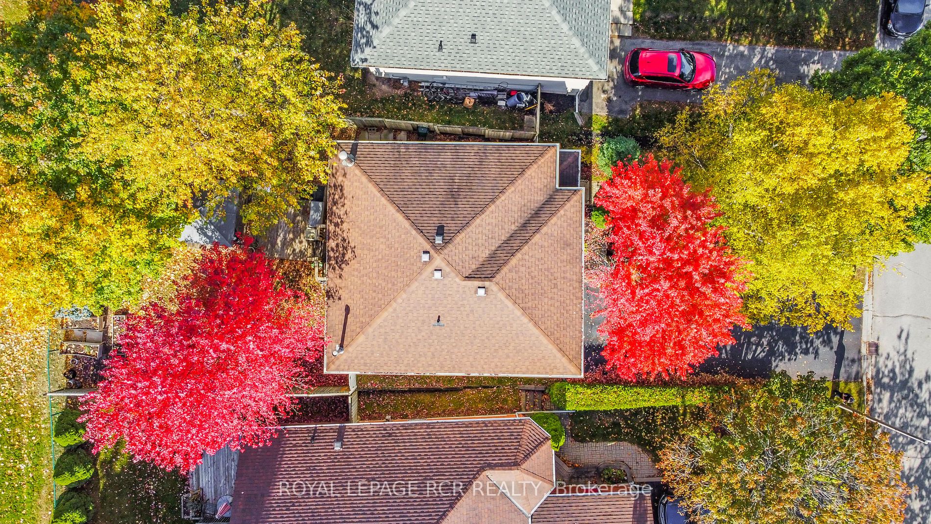 344 Lewis Drive