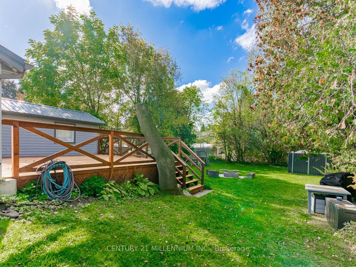 38 Mcfaul St