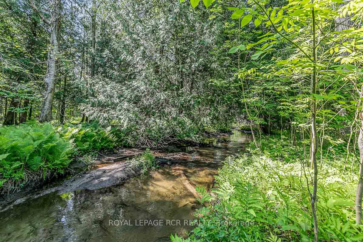 16866 Mclaughlin Rd