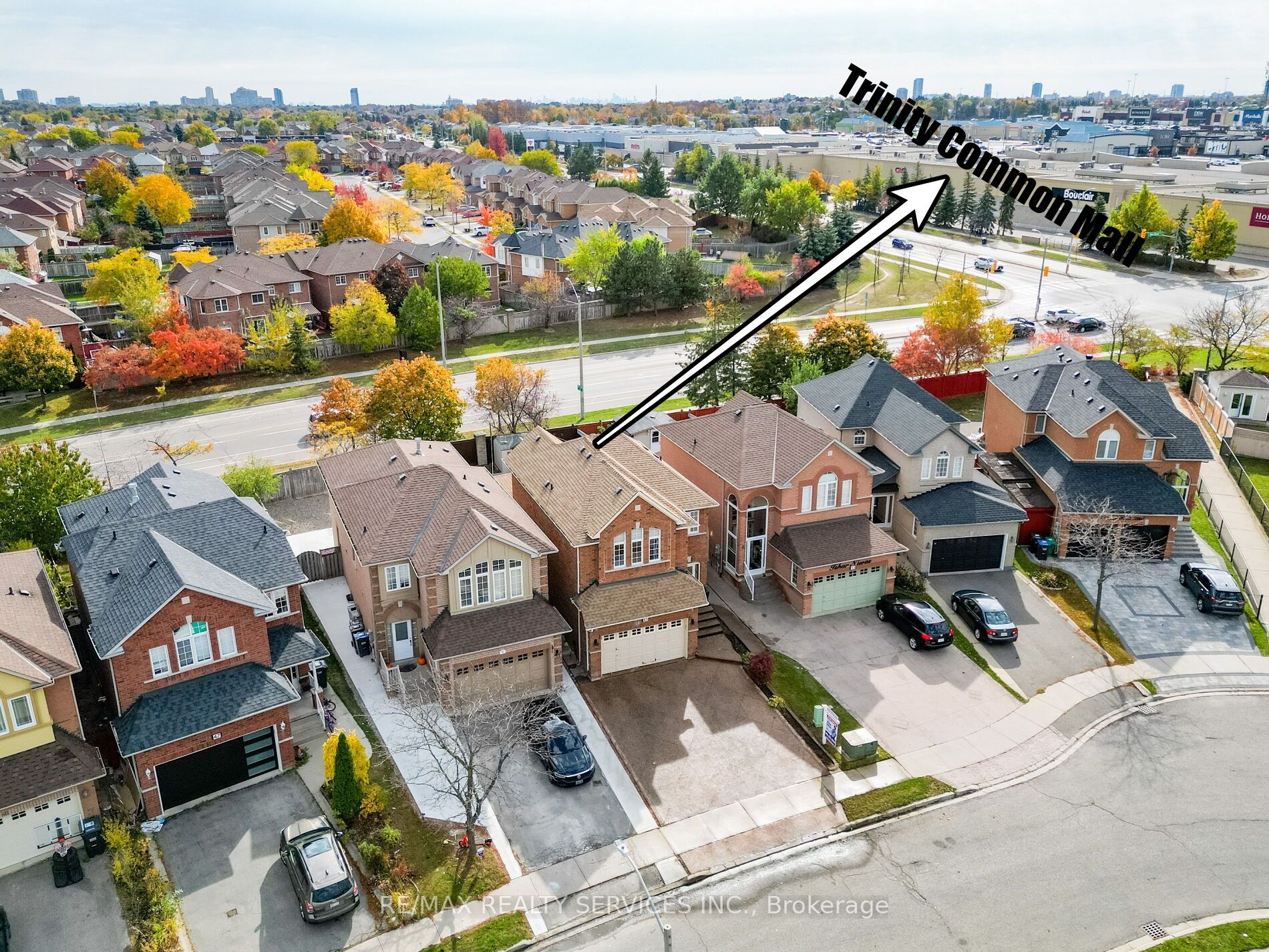 51 Blue Whale Blvd