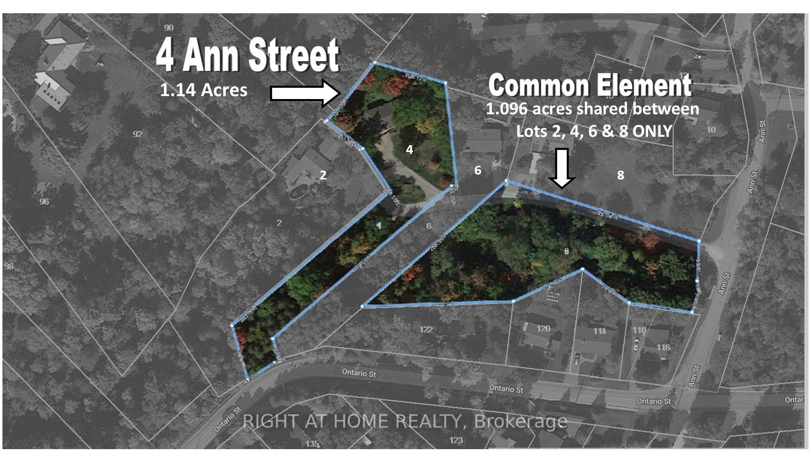 4 Ann St