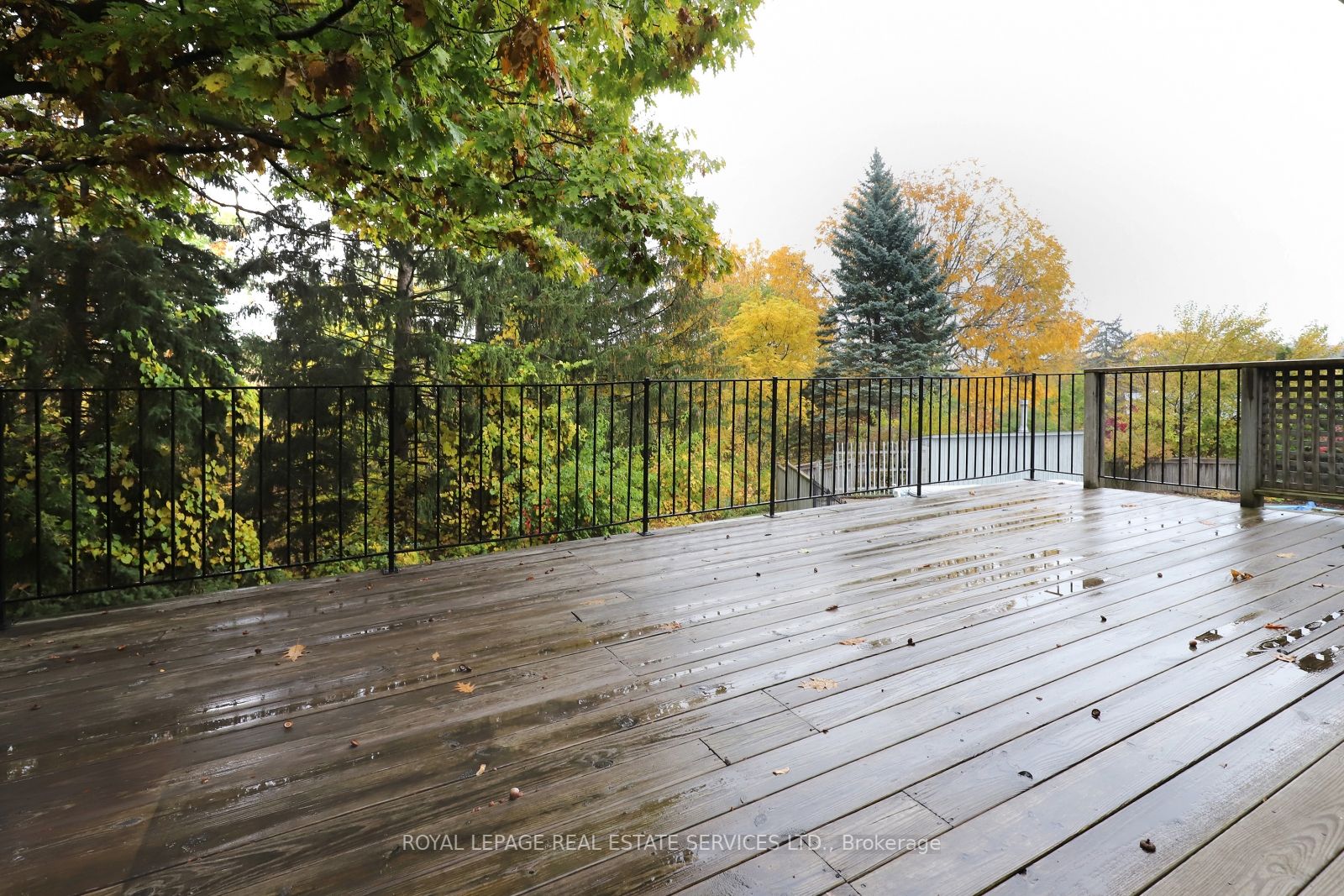 1458 Flaminia Crt