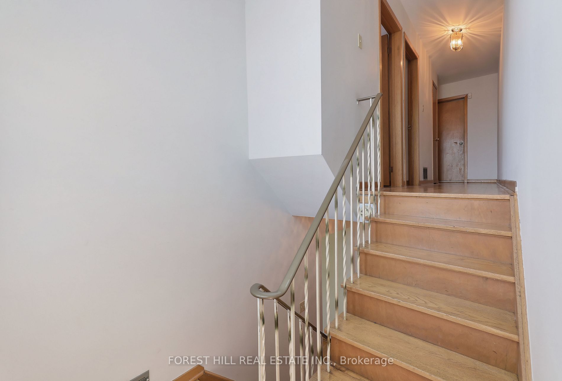 51 Lapp St