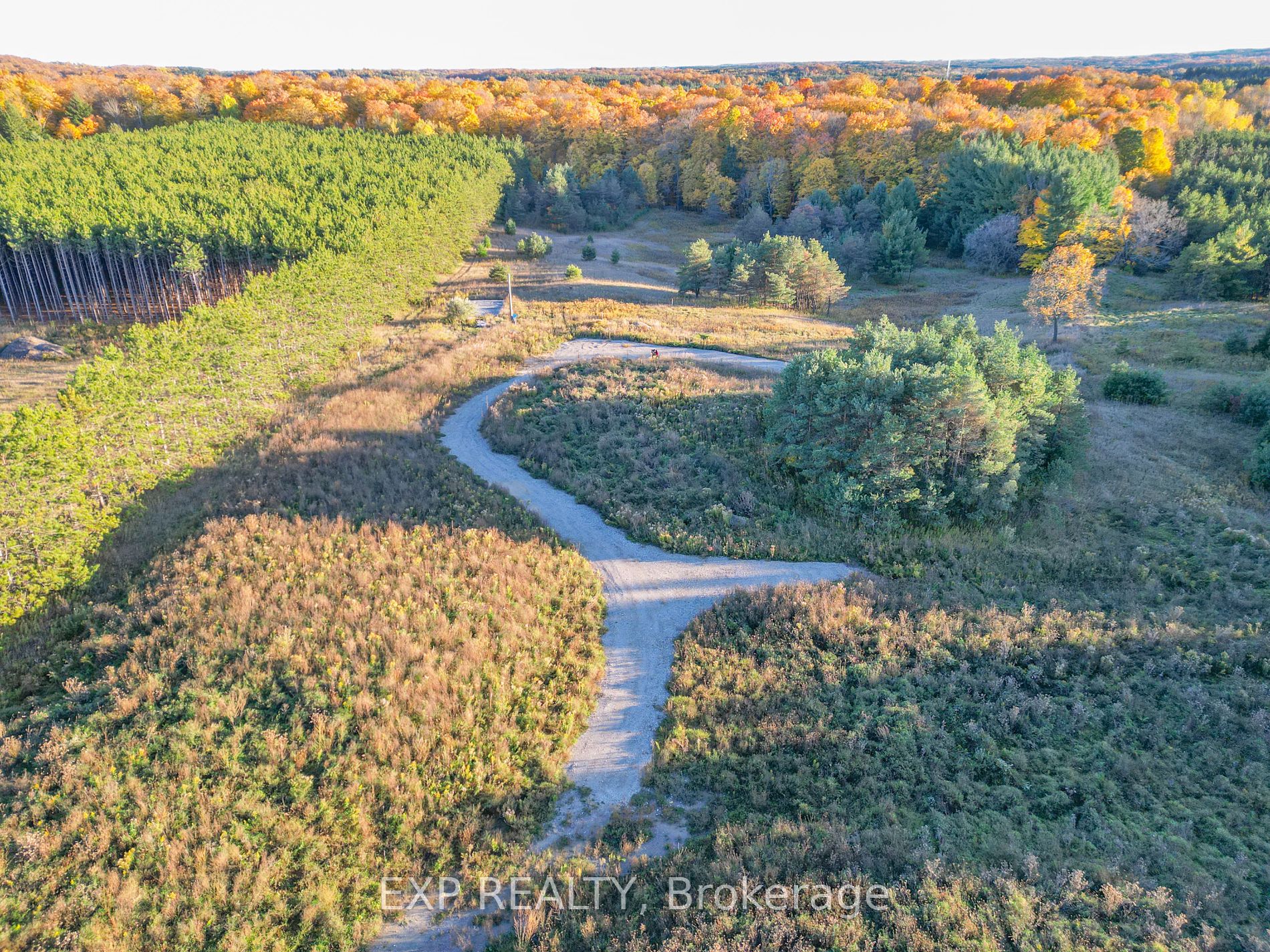 Lot 29 Con. 8, Highway 9