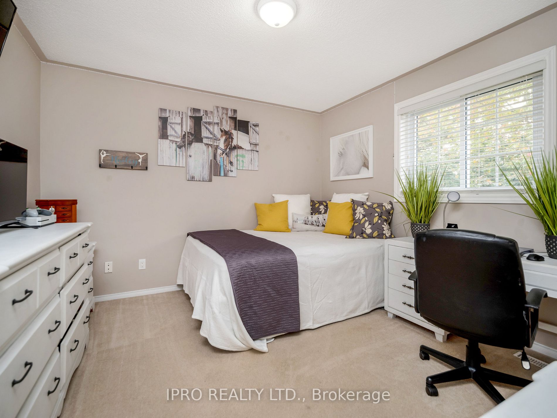 38 Birchway Pl
