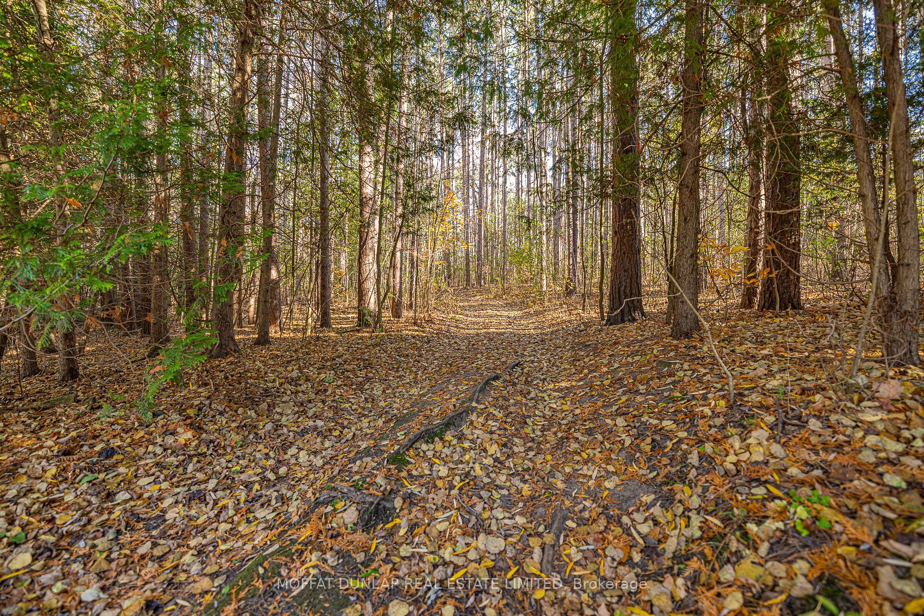 7699 Patterson Sideroad