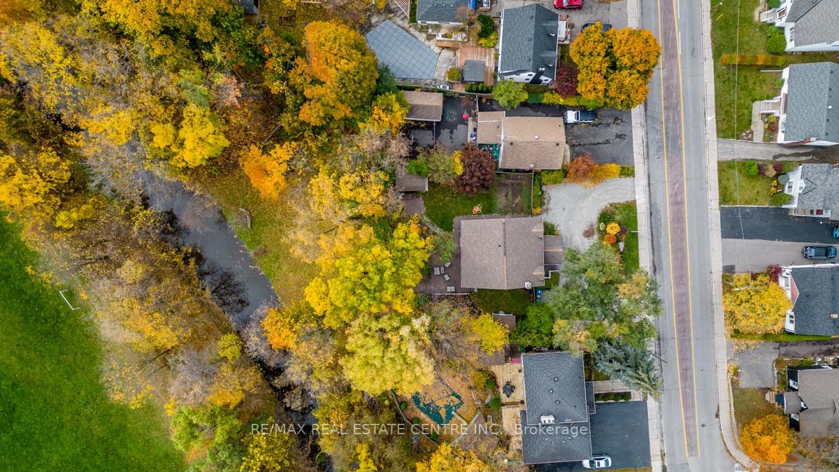 39 Clarence St