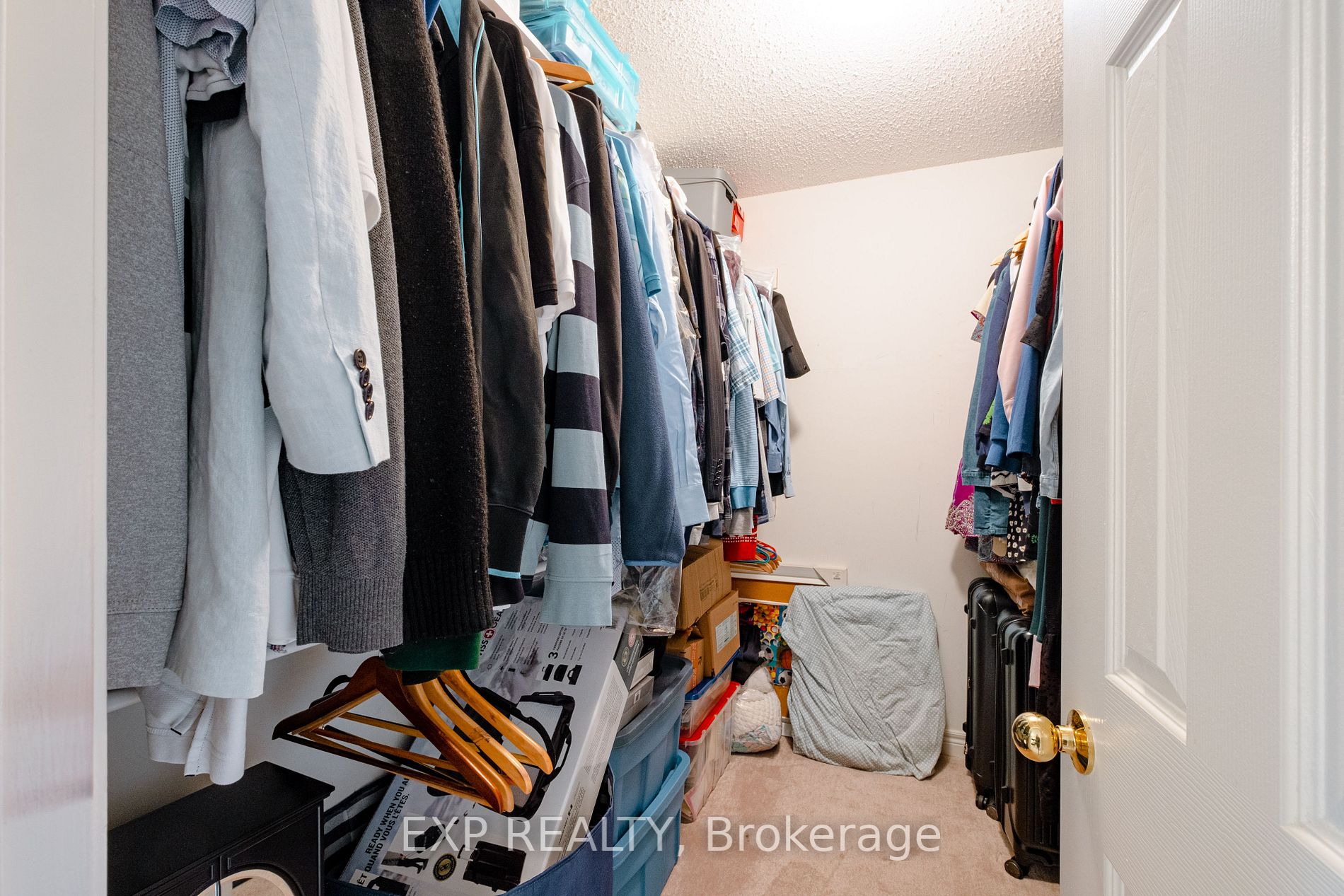 3565 Bala Dr