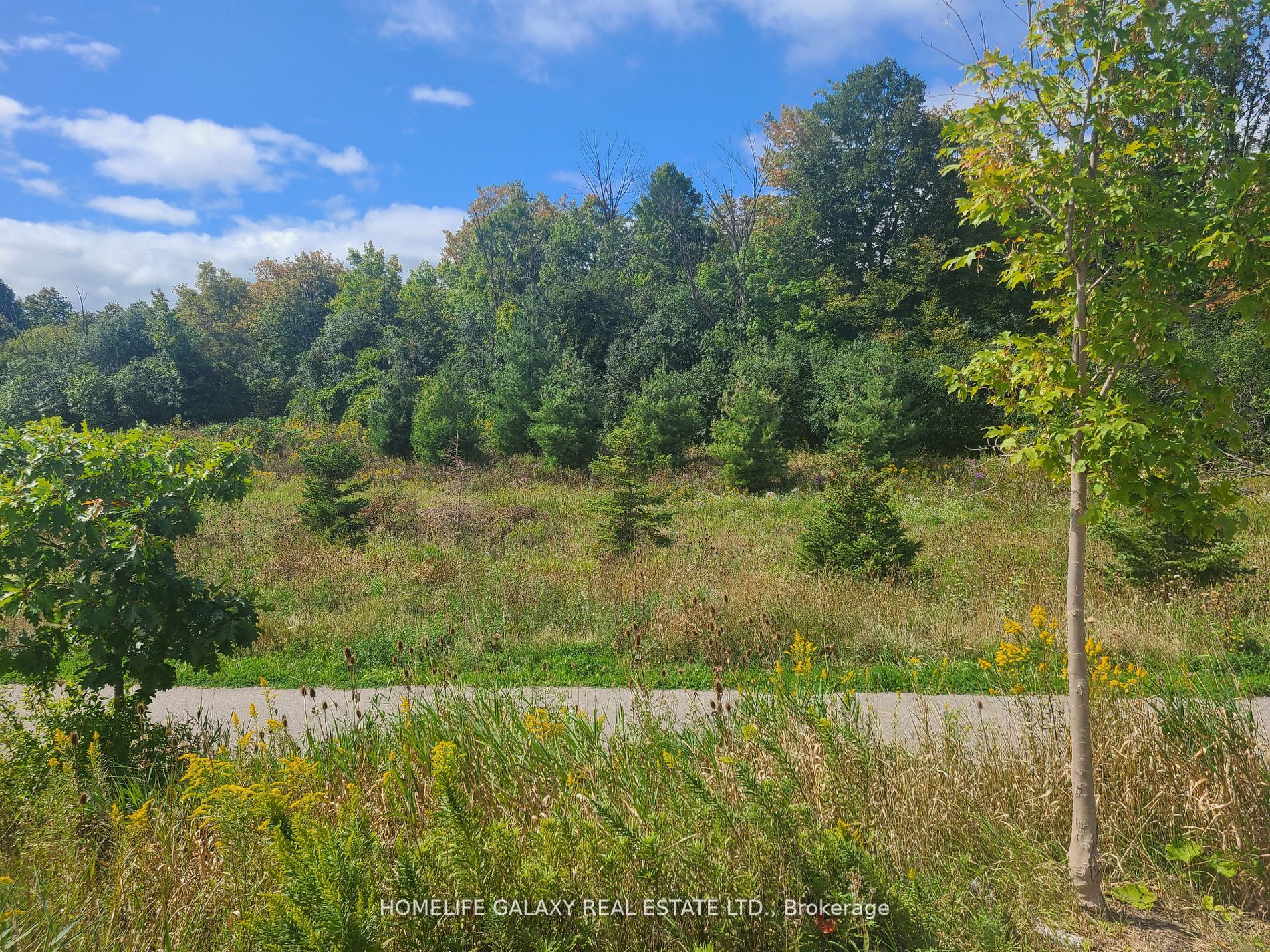 1 Beckenrose Court, #108