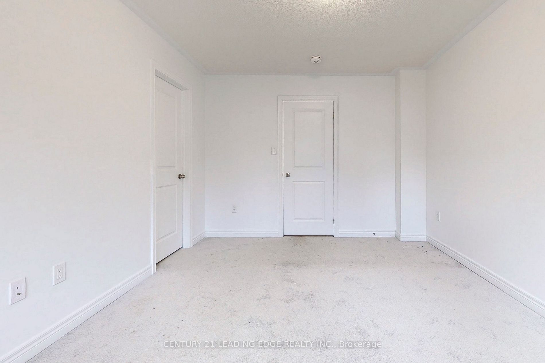 3952 Leonardo Street