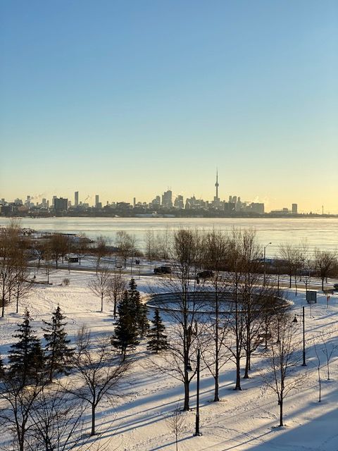 2119 Lake Shore Blvd W, #412
