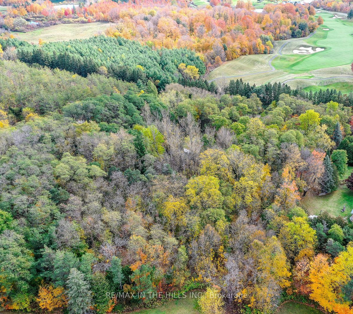 3246 Escarpment Sdrd