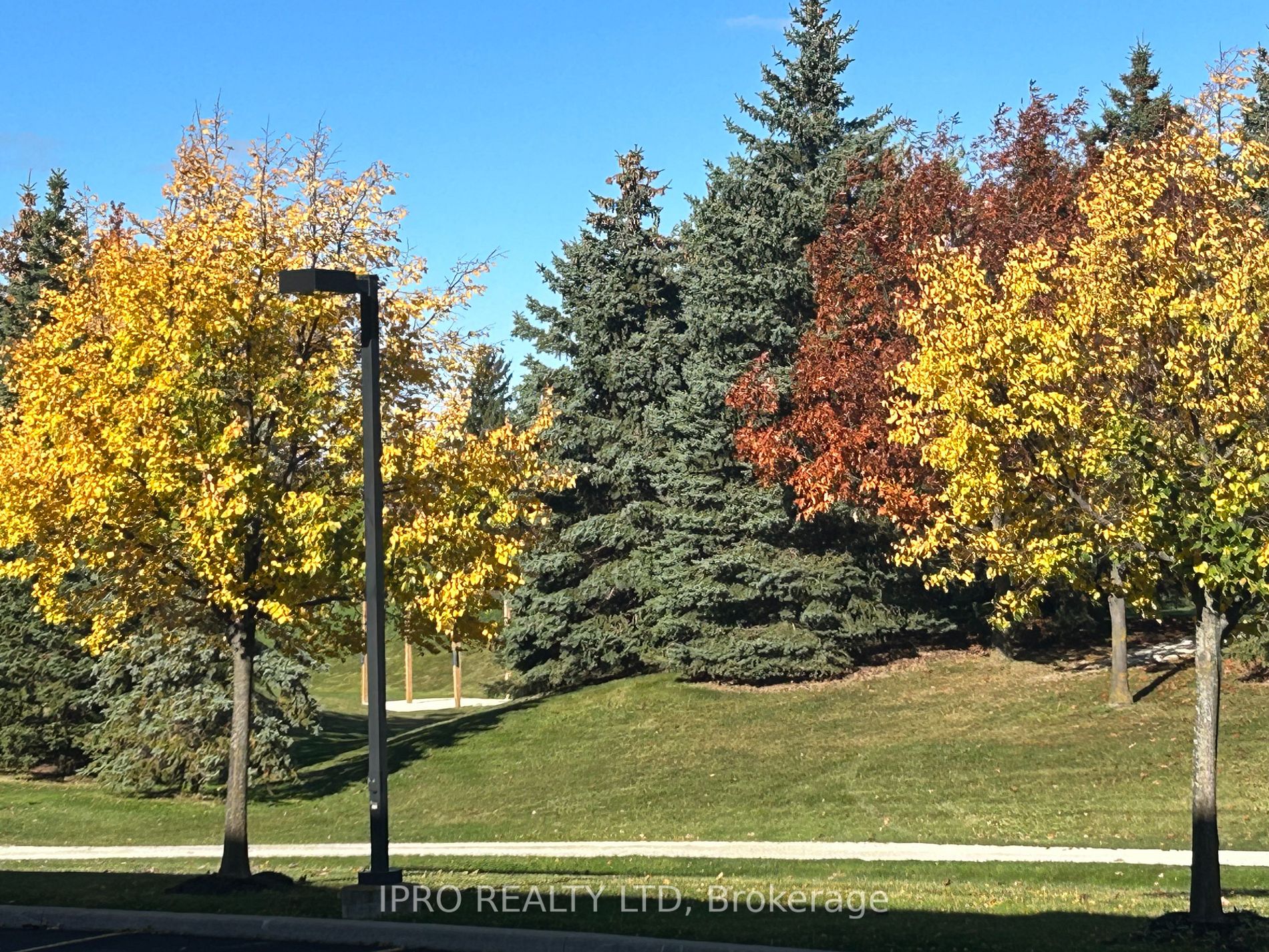 35 Via Rosedale Way, #117