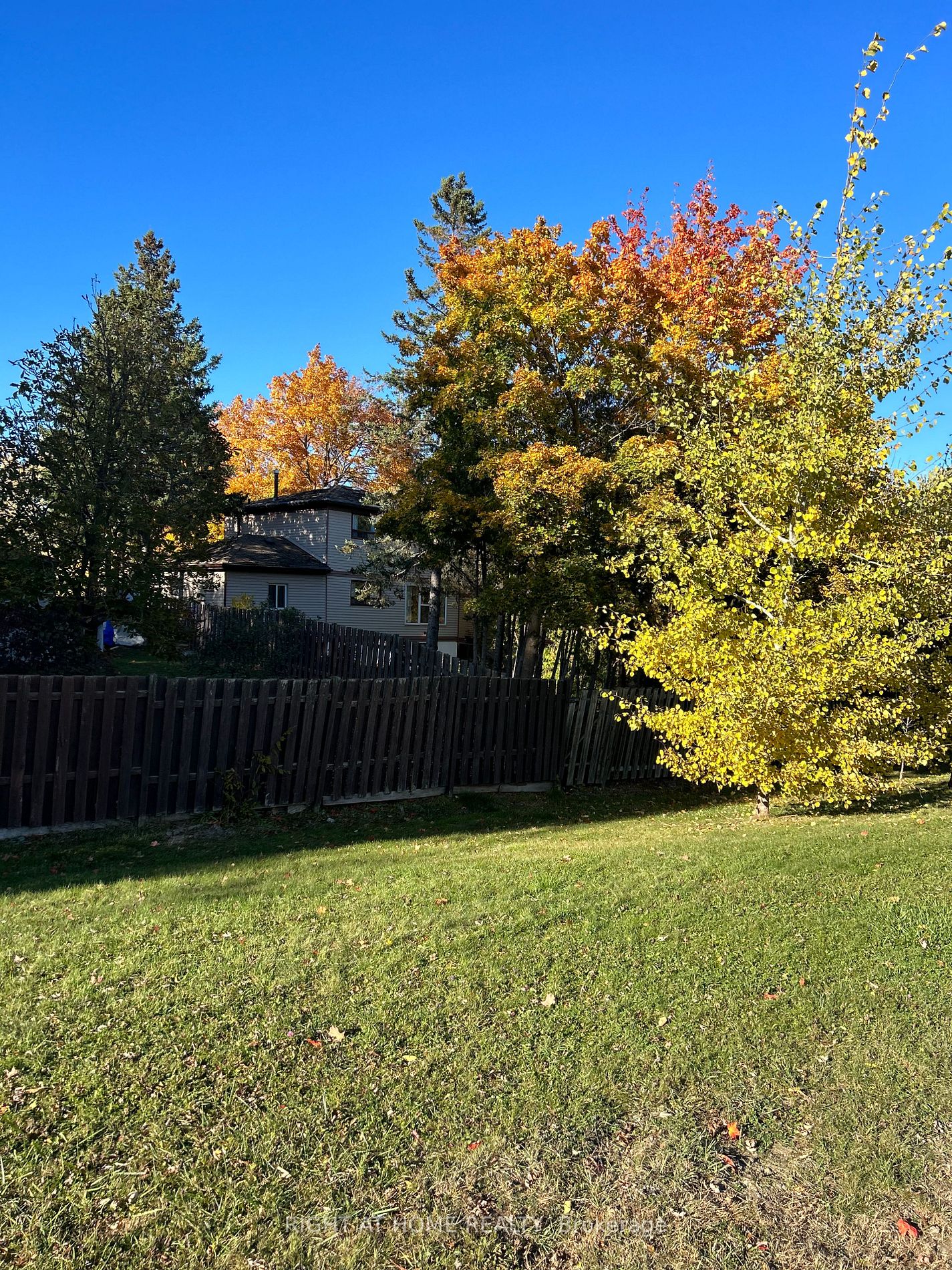 56 Downey Dr