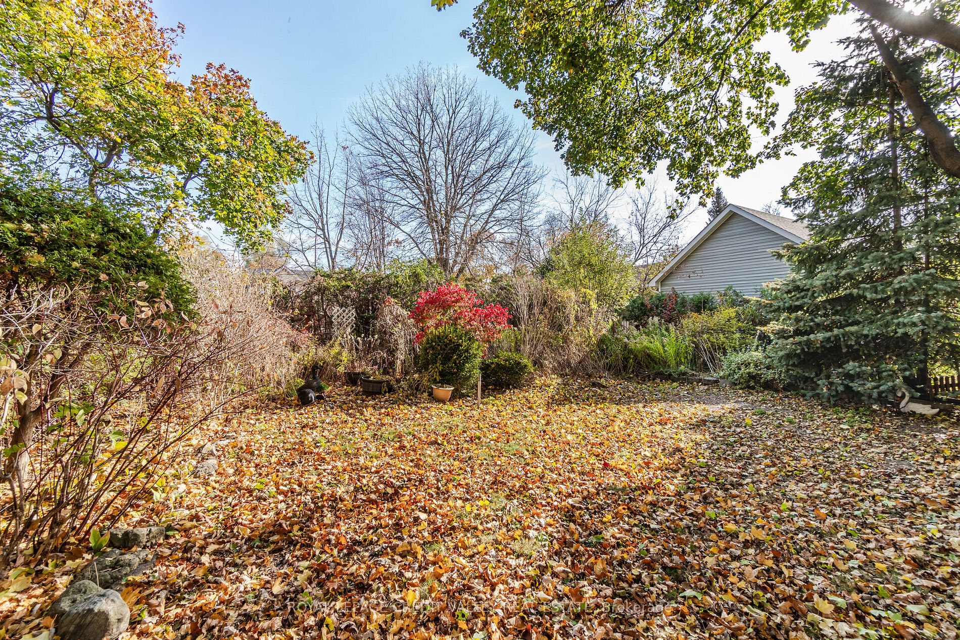 121 Denison Ave
