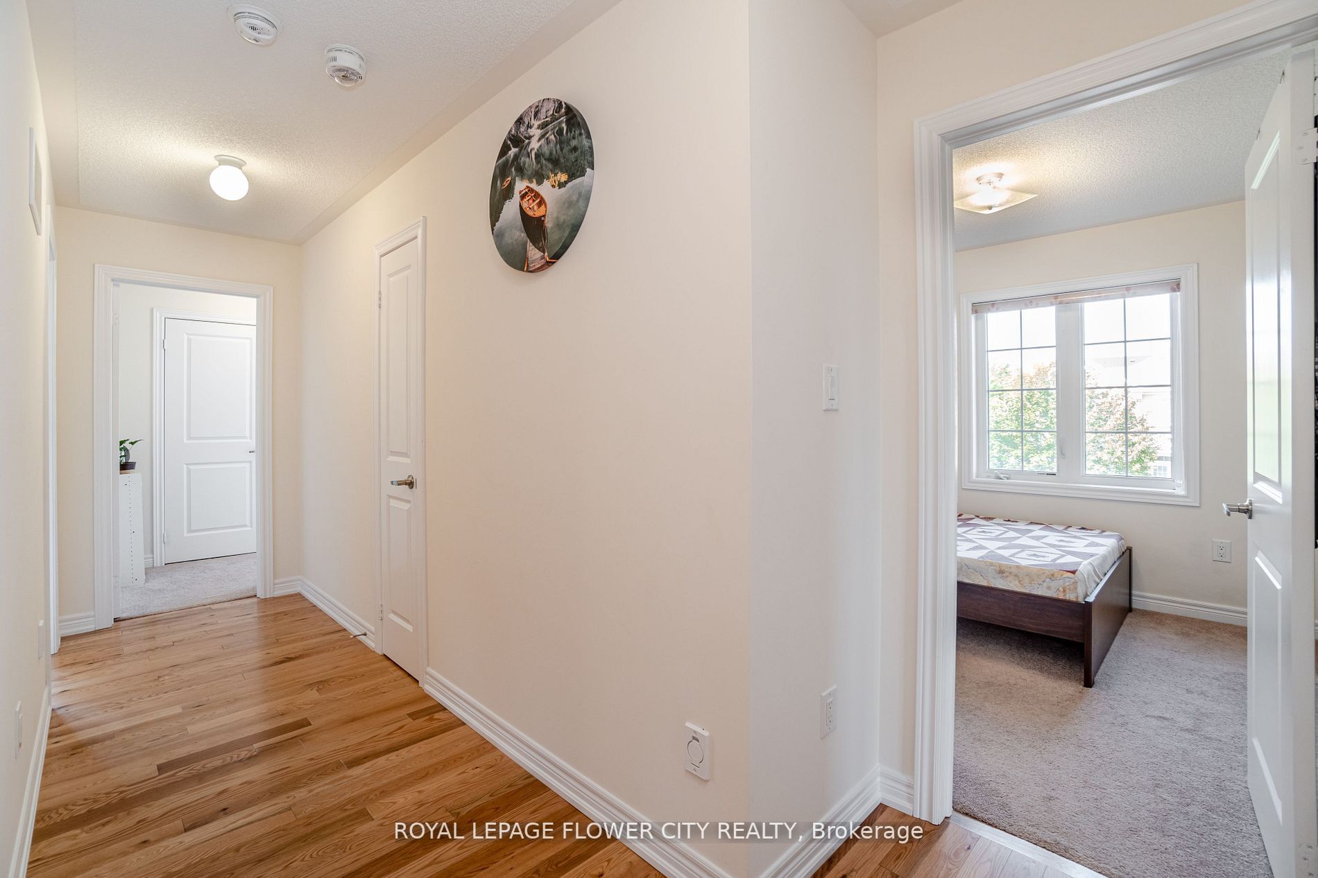 53 Clementine Drive