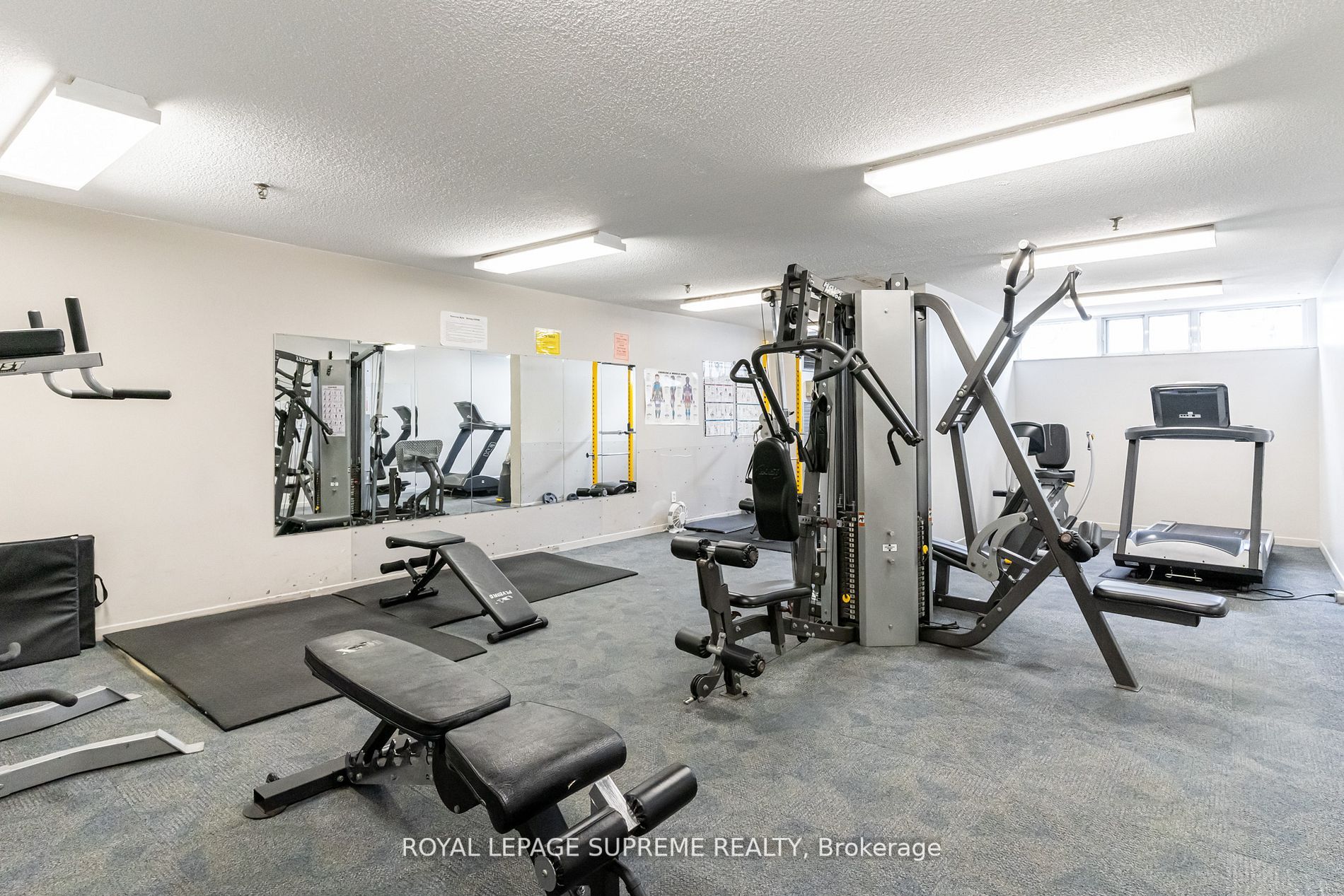 75 Emmett Ave, #206