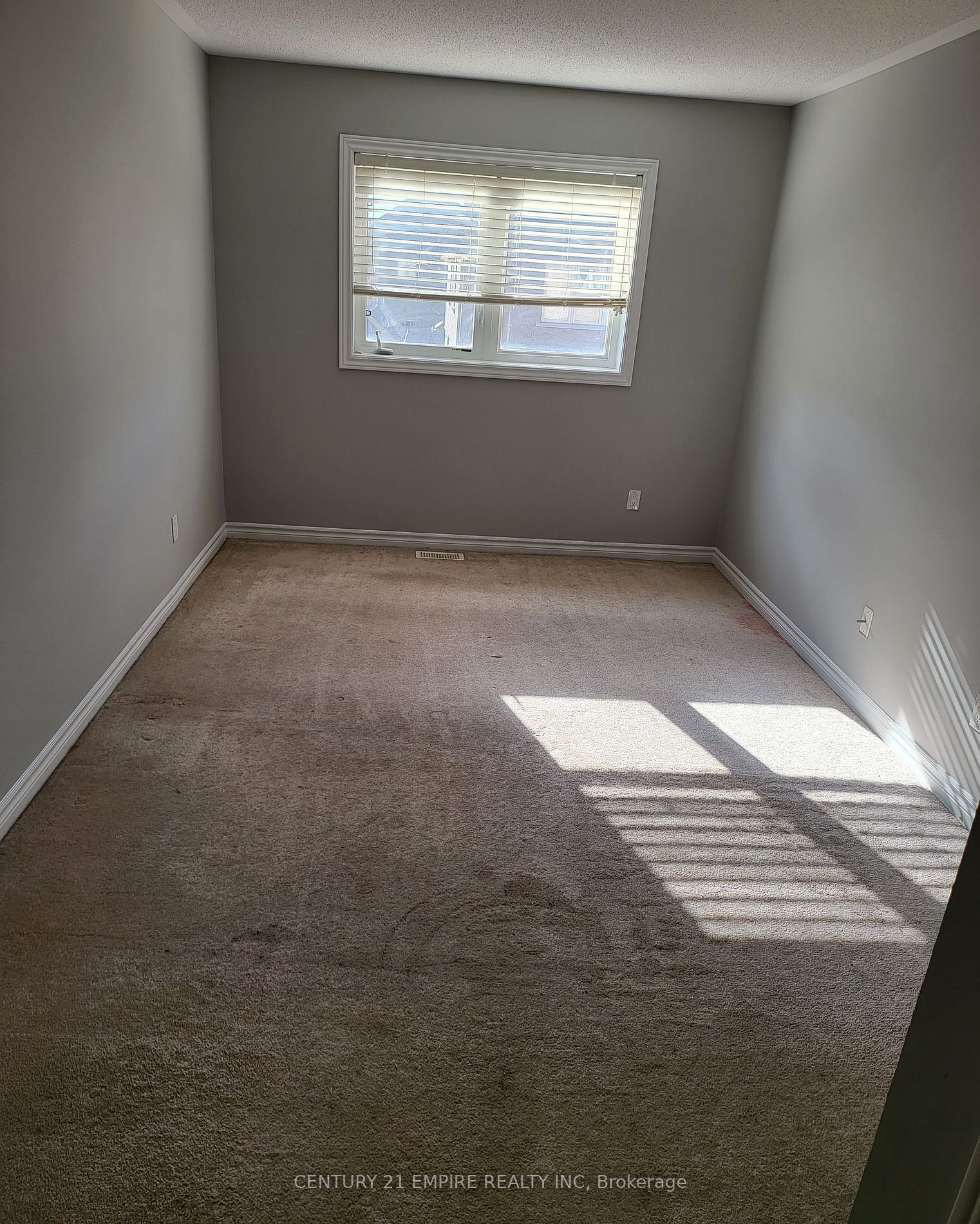 10 Dillon Dr