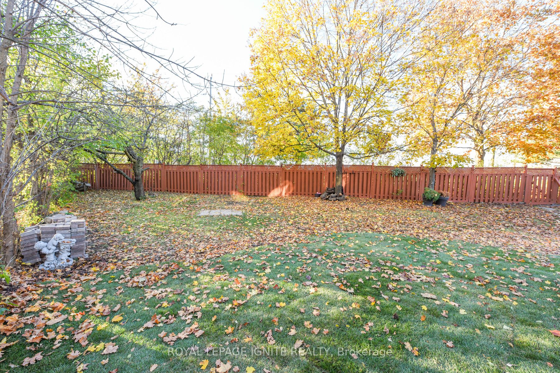 1892 Reiss Crt