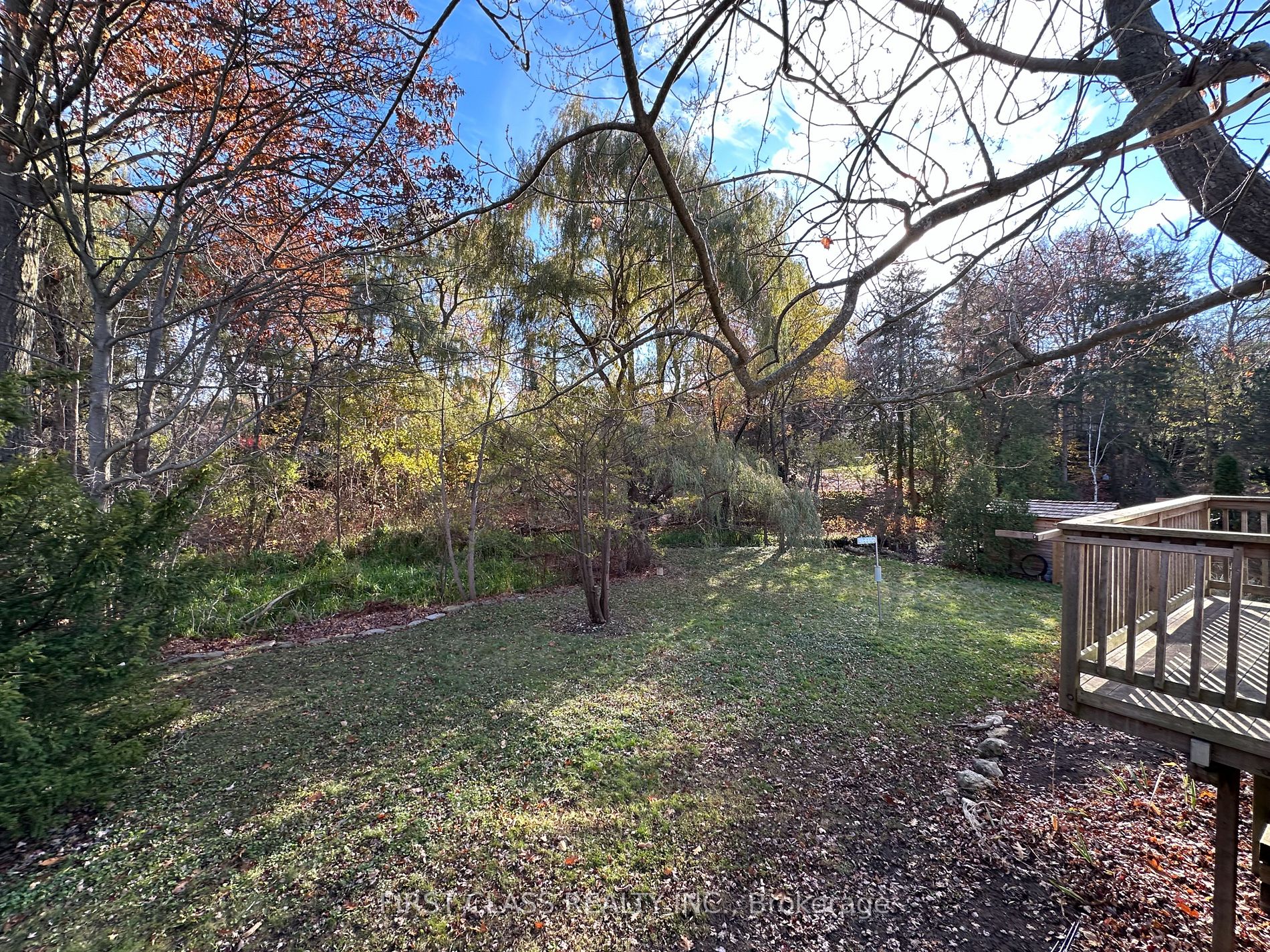 1438 Birchwood Dr