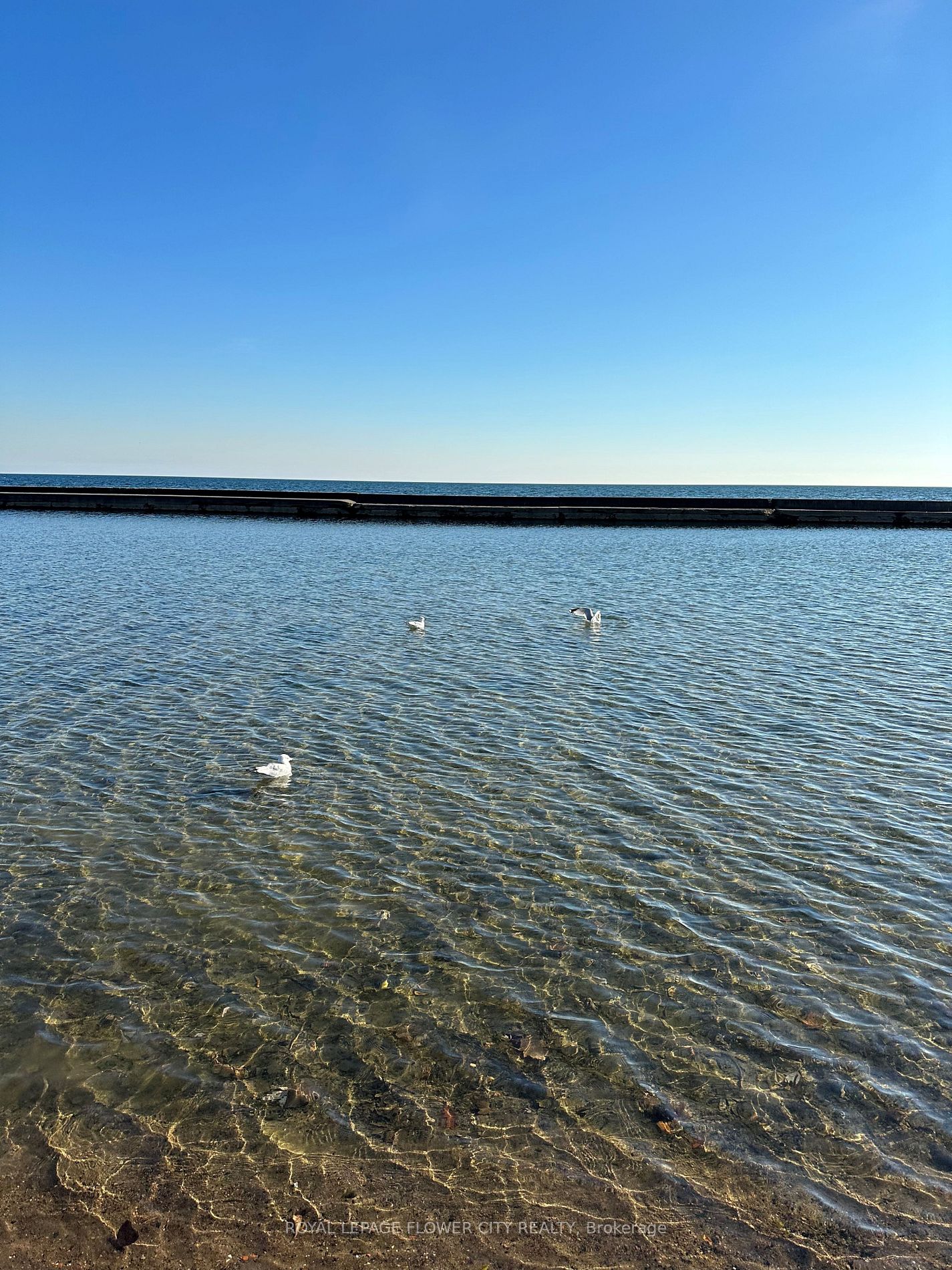 1928 Lakeshore Blvd, #1902