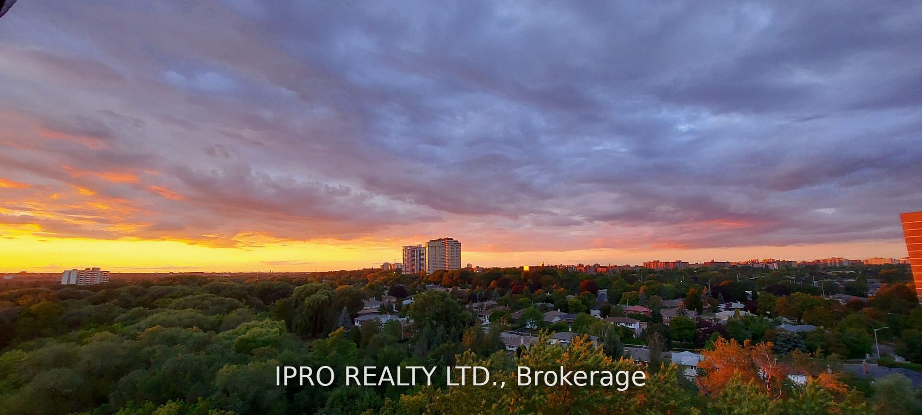 3145 Queen Frederica Dr, #1003