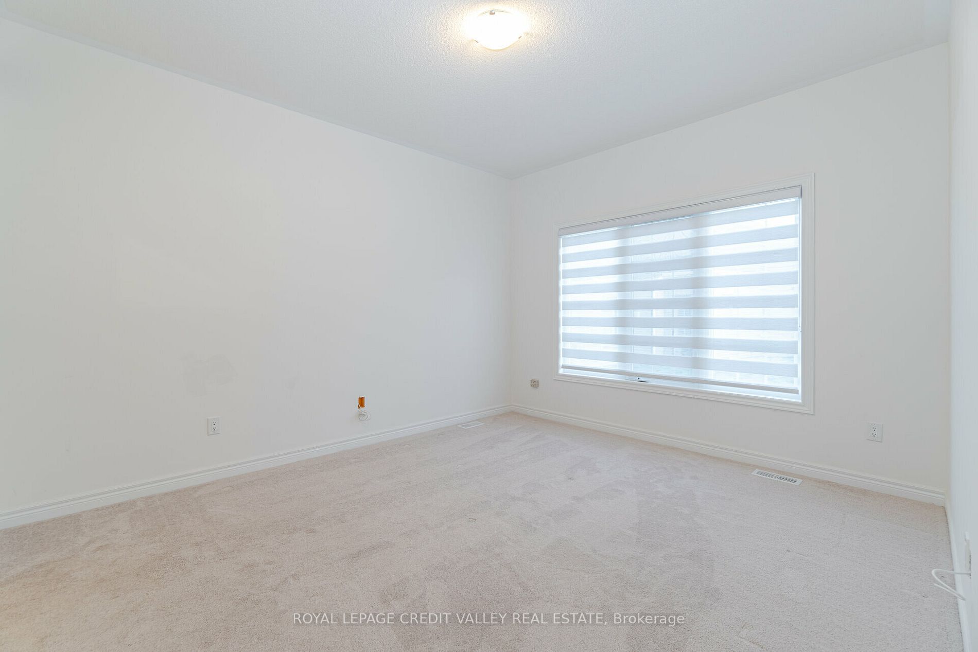 10 Abelia St, #6