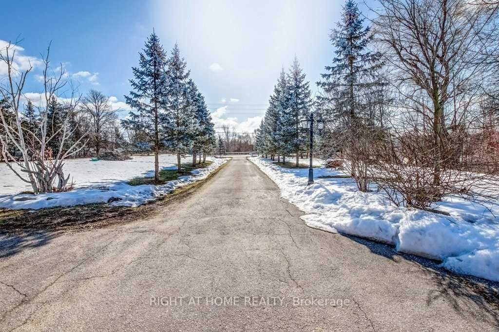 1364 Queen St W