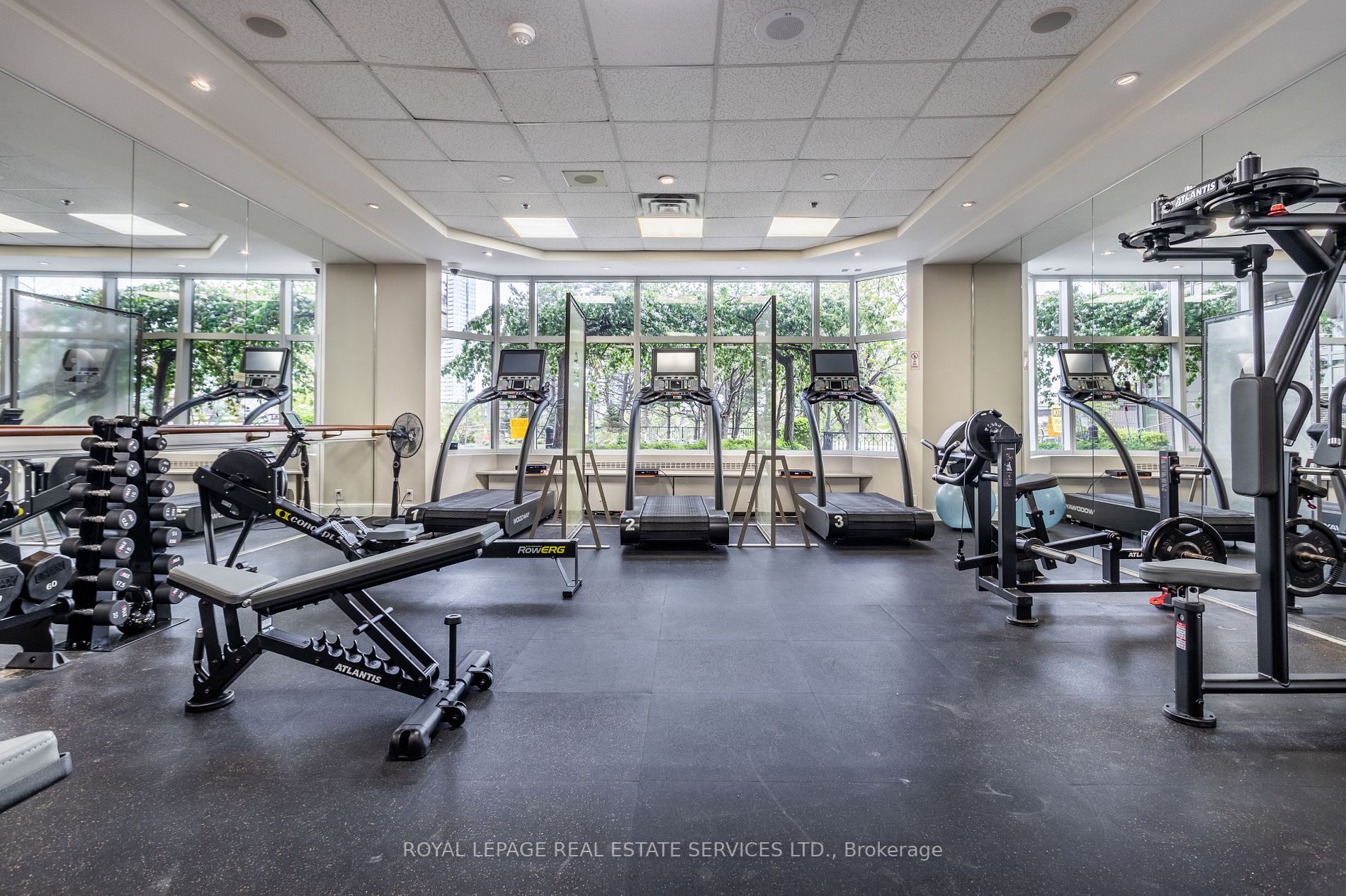 1 Palace Pier Crt, #3401
