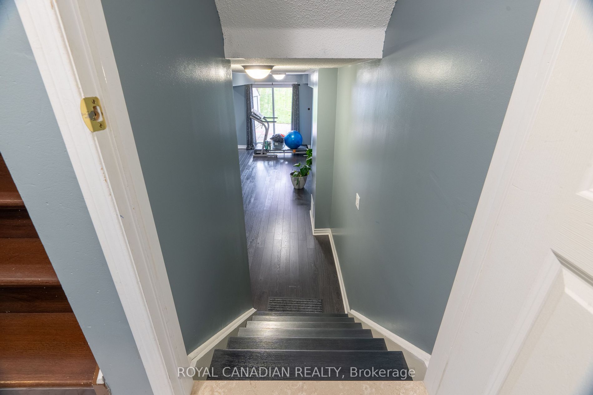 77 Wilmont Crt