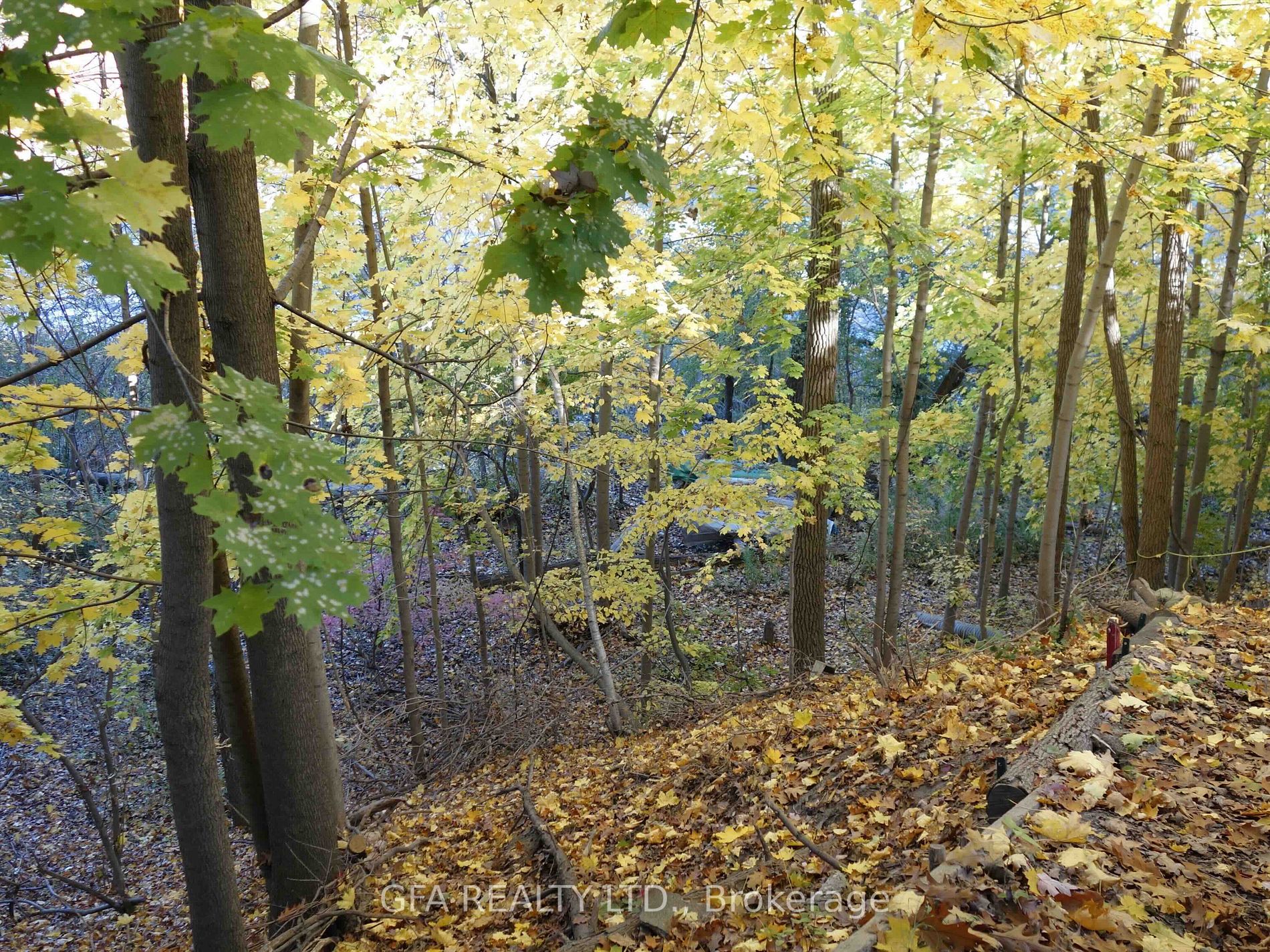 185 Stephen Drive, #404