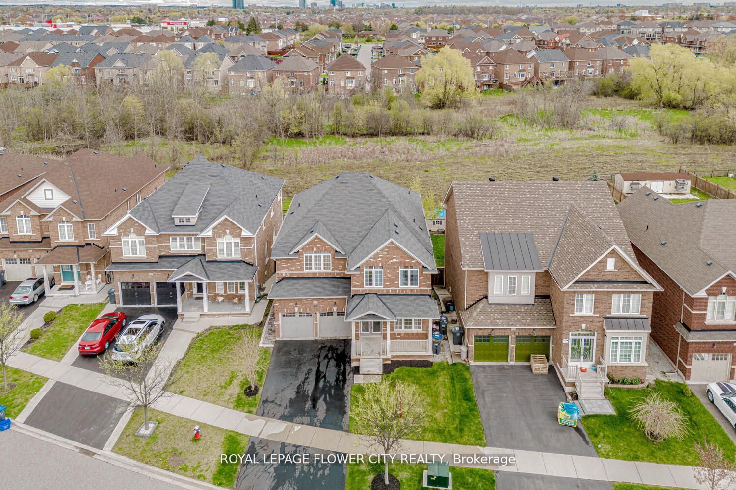 21 Borrelli Dr
