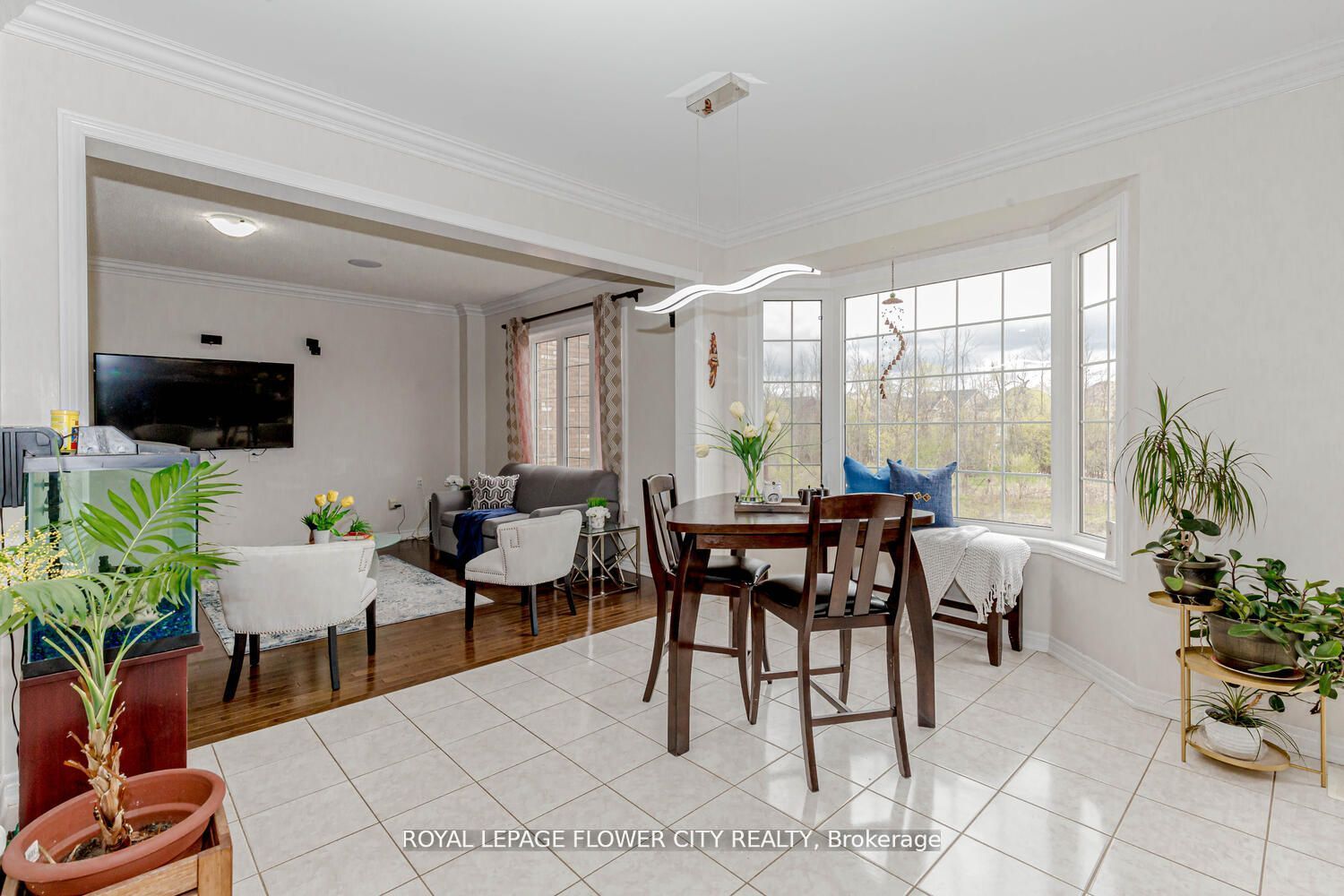 21 Borrelli Dr