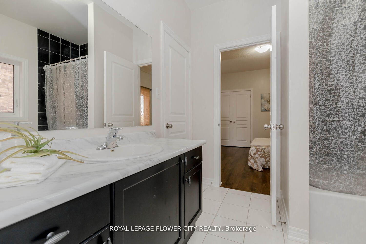 21 Borrelli Dr