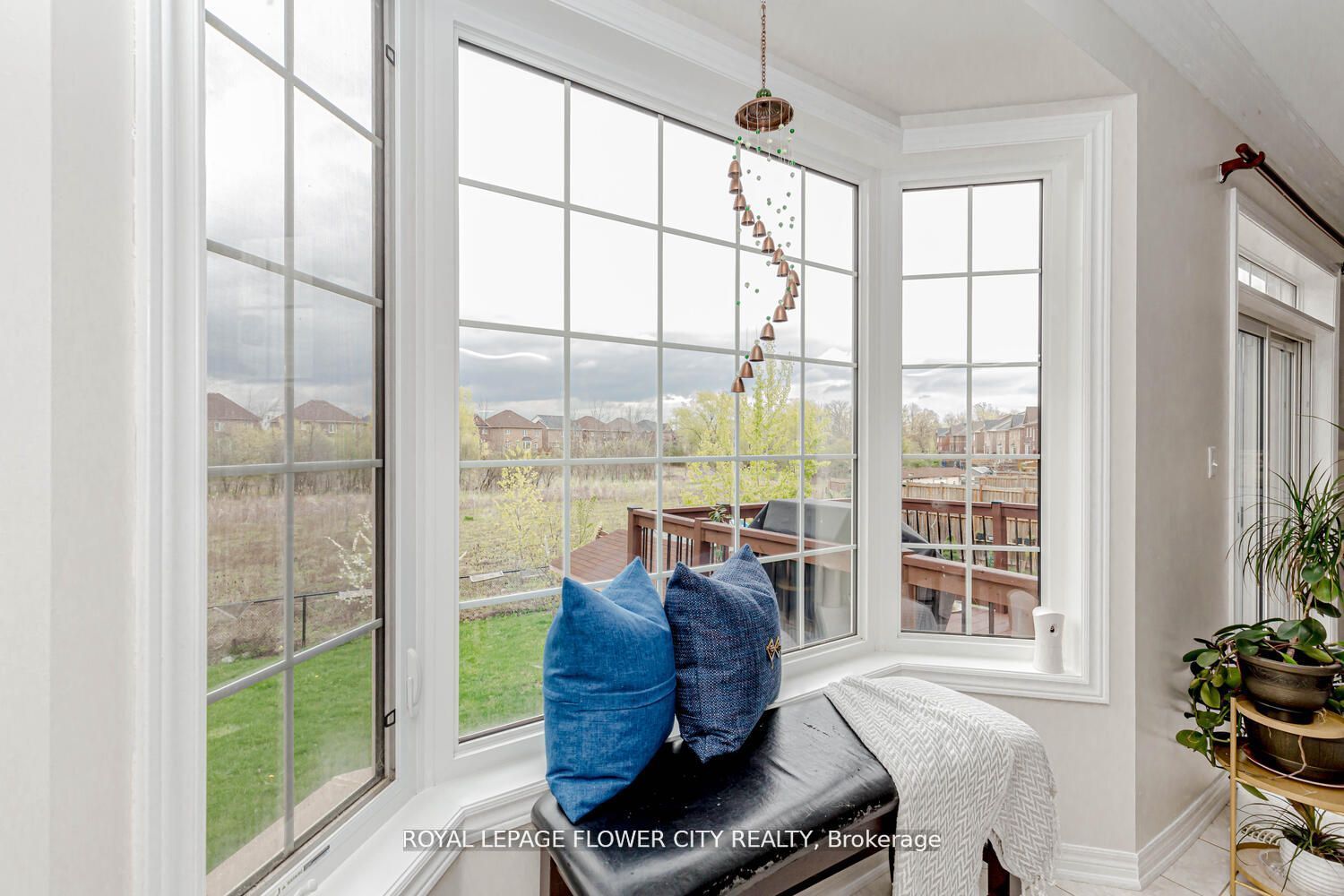 21 Borrelli Dr