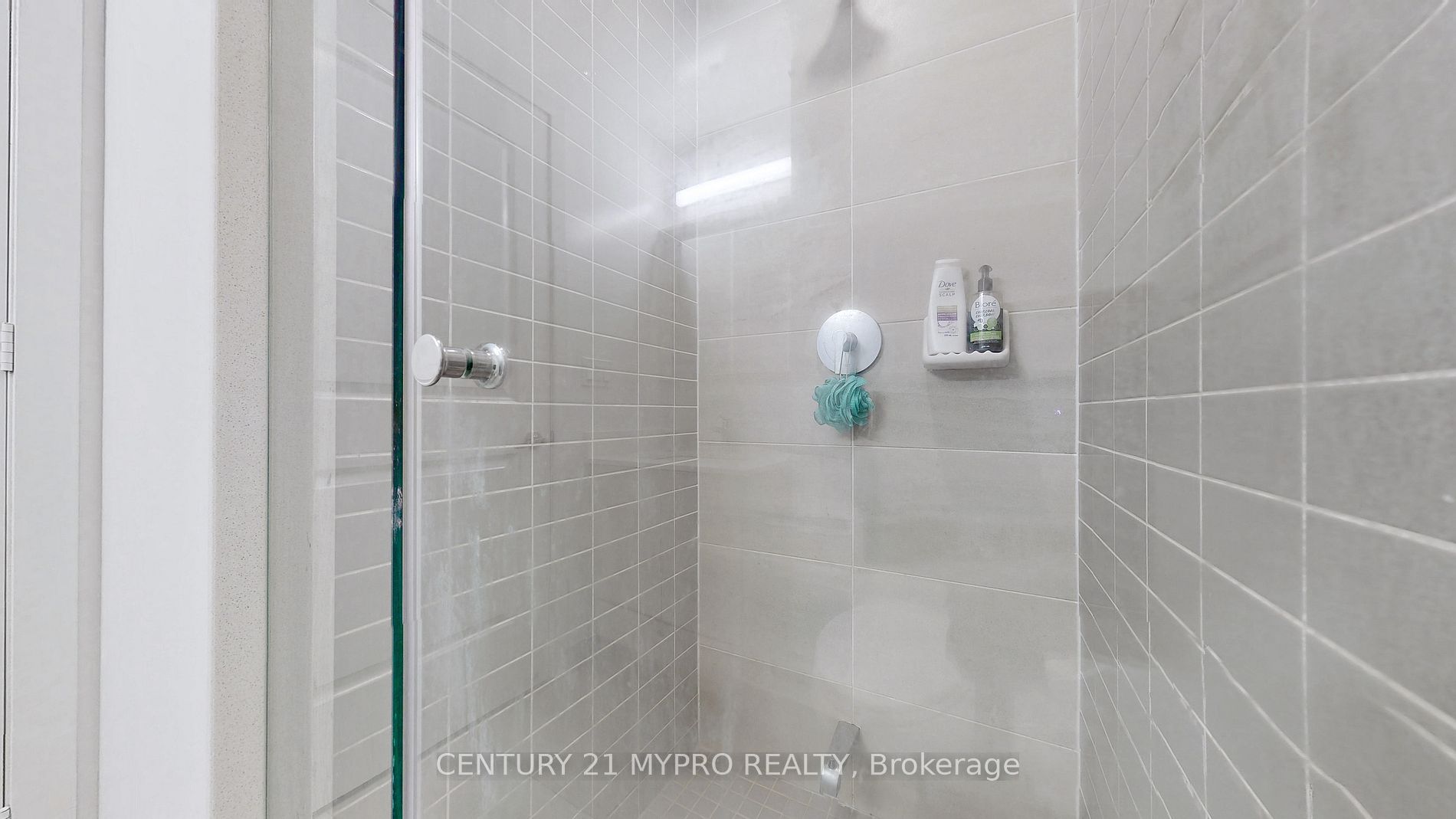 4655 Metcalfe Ave, #509