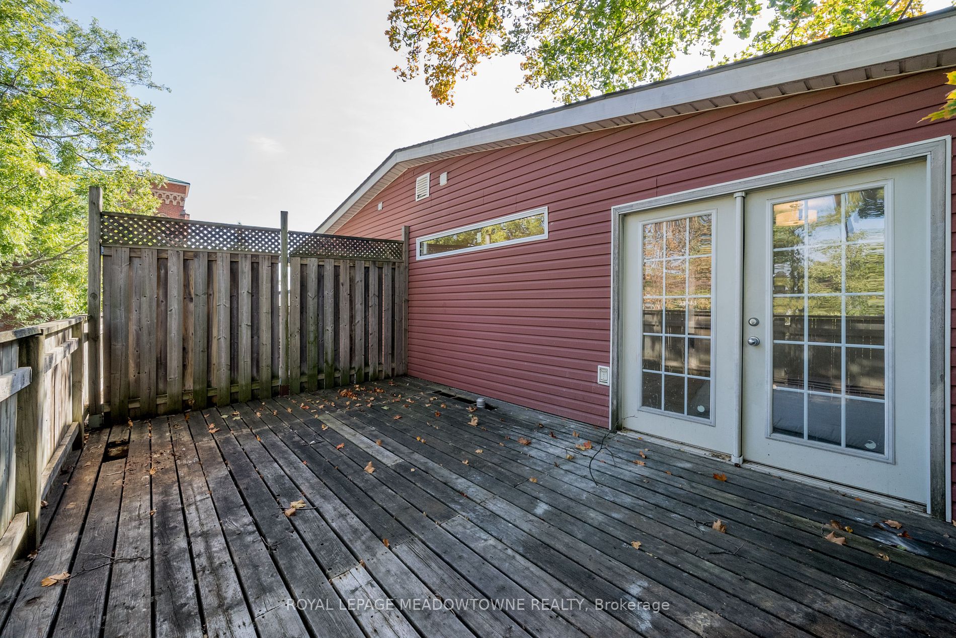 7 Guelph Street