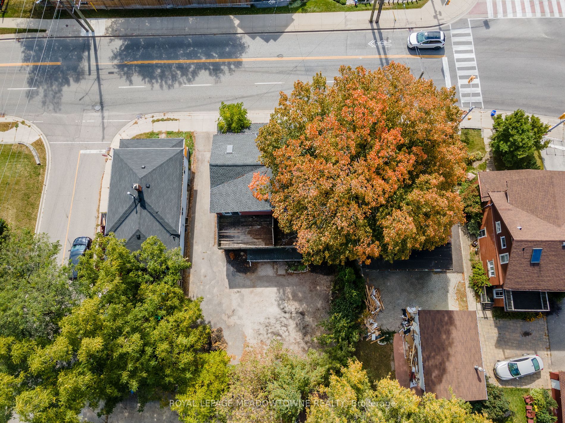 7 Guelph Street