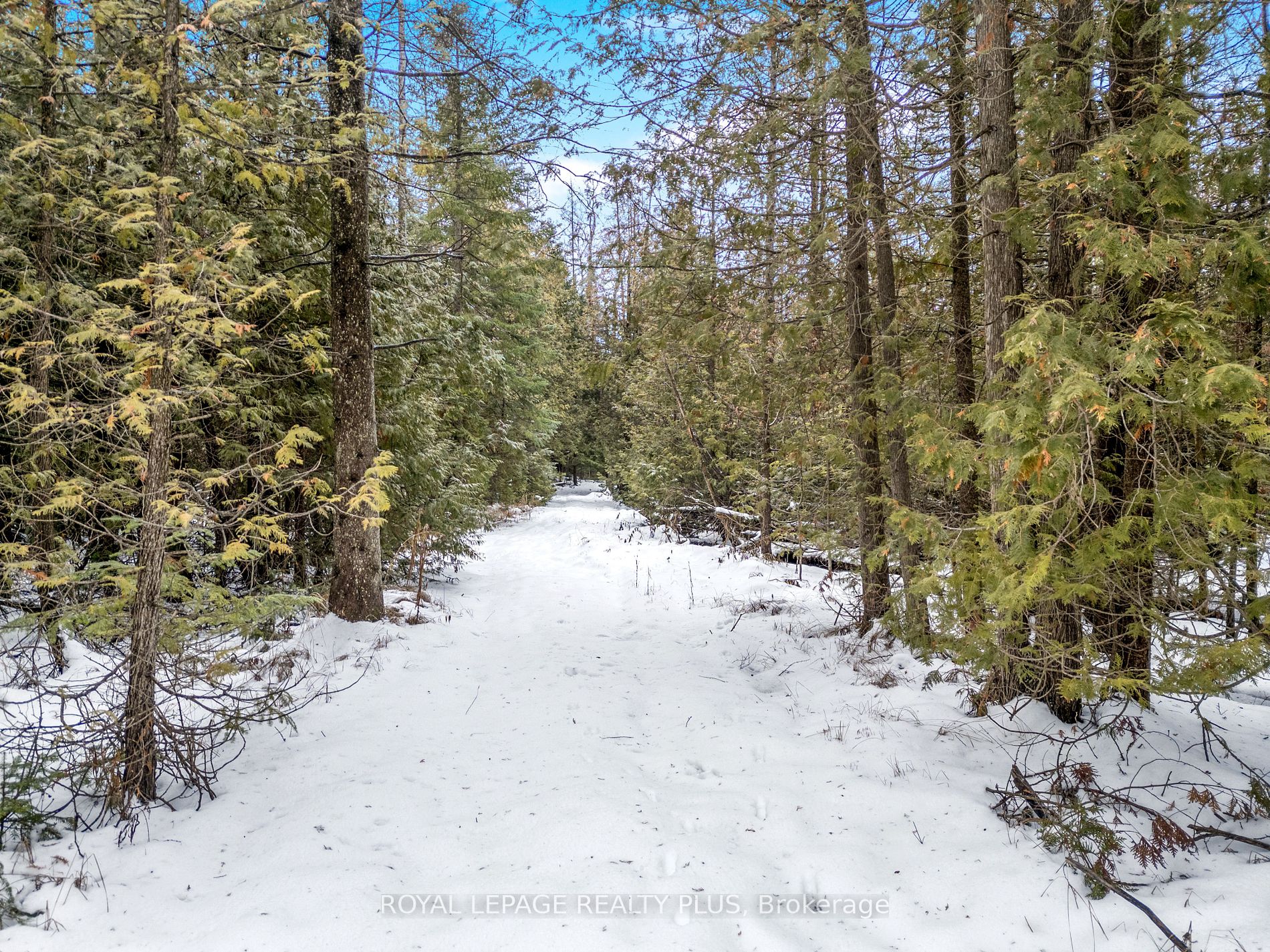 21346 Shaws Creek Rd