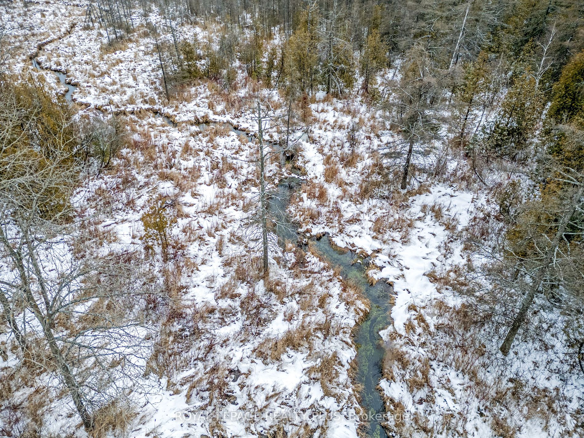 21346 Shaws Creek Rd