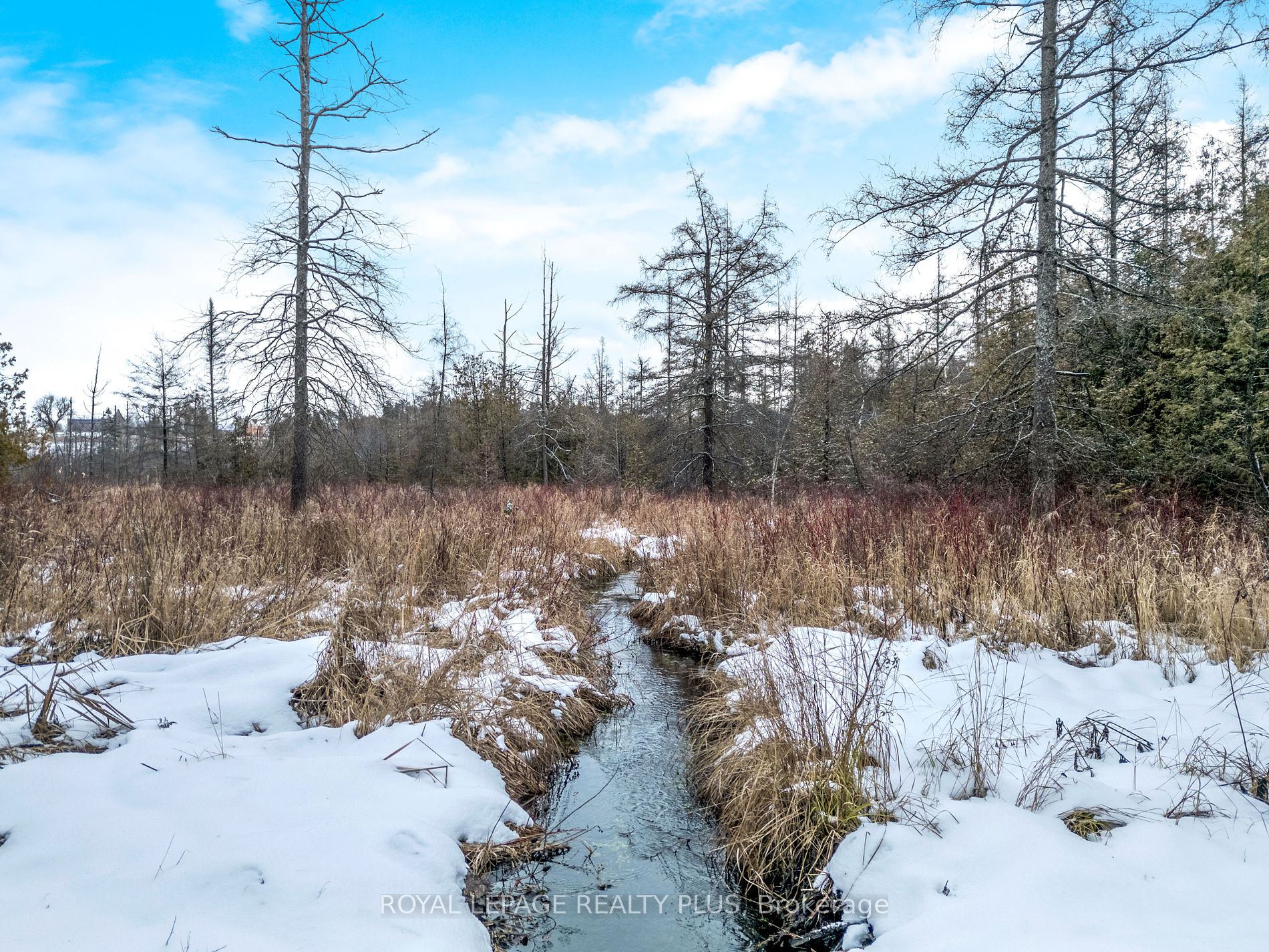 21346 Shaws Creek Rd