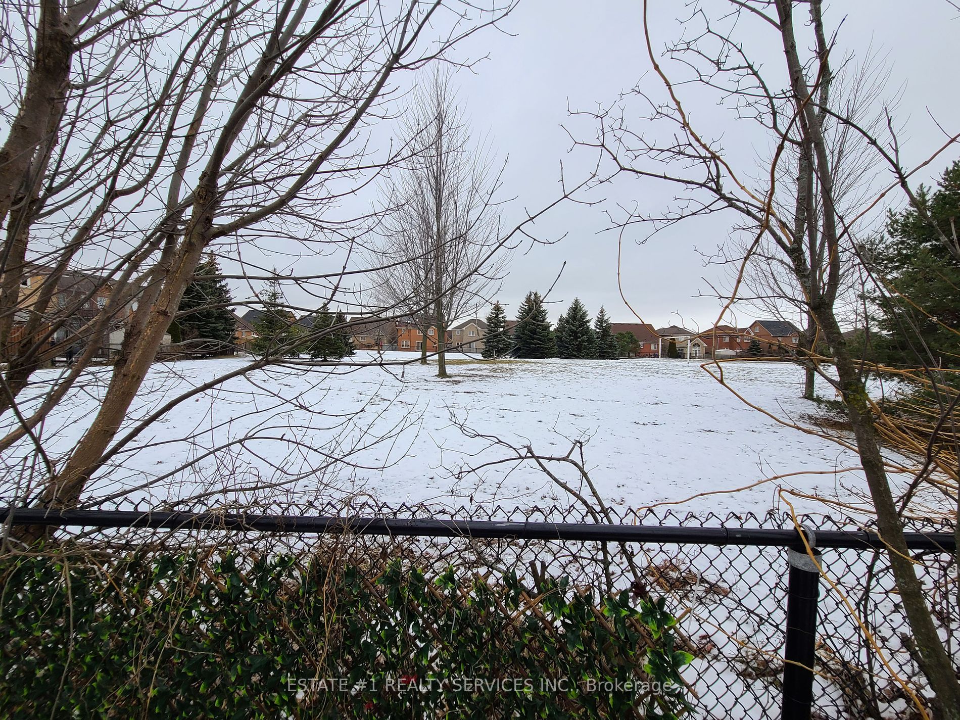 136 Van Scott Drive
