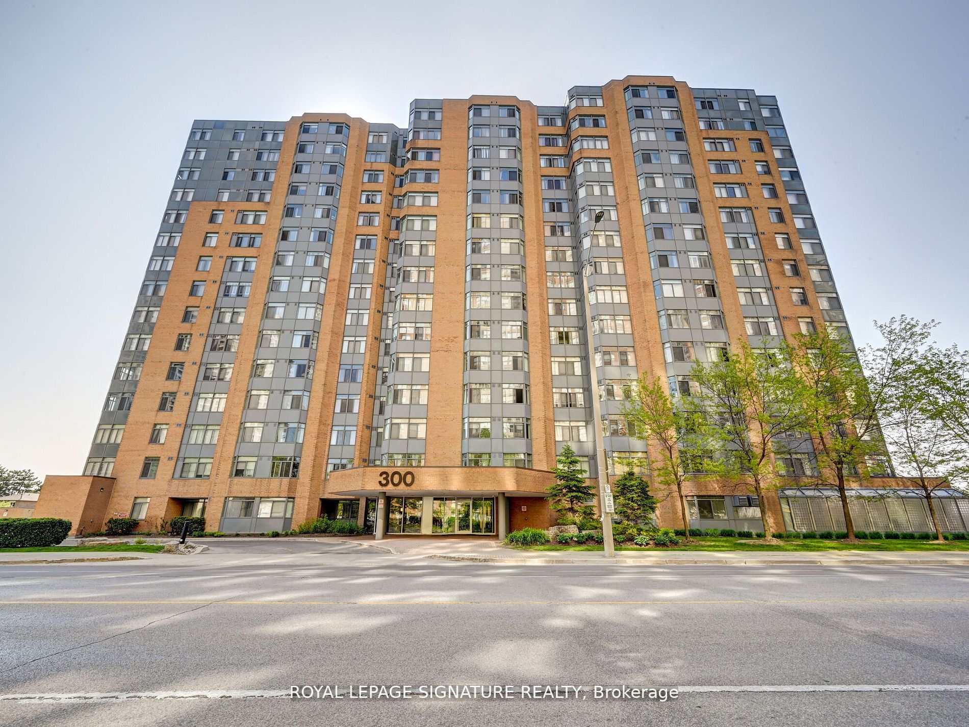 300 Webb Dr, #1003